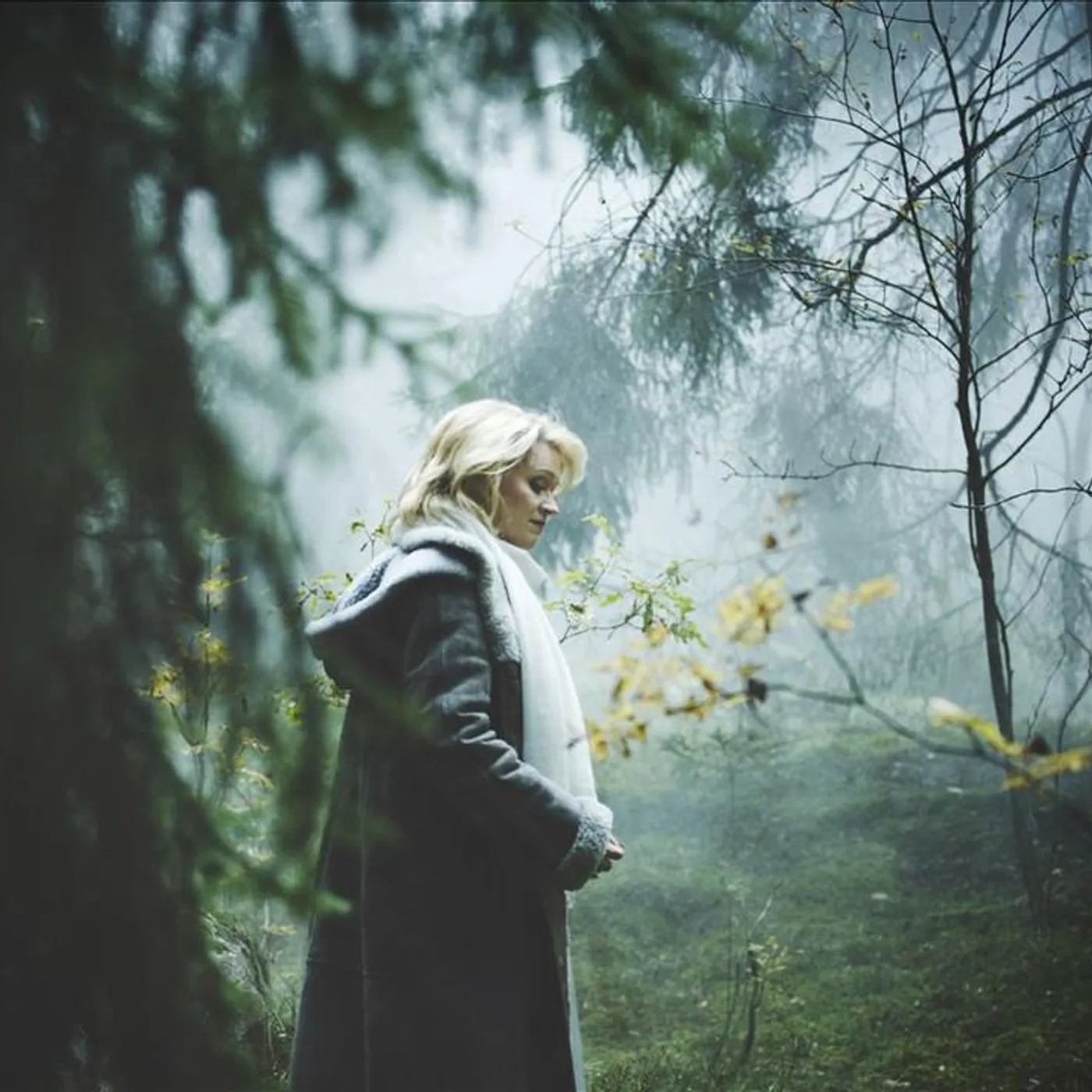 Hillevi Martinpelto Brand Page