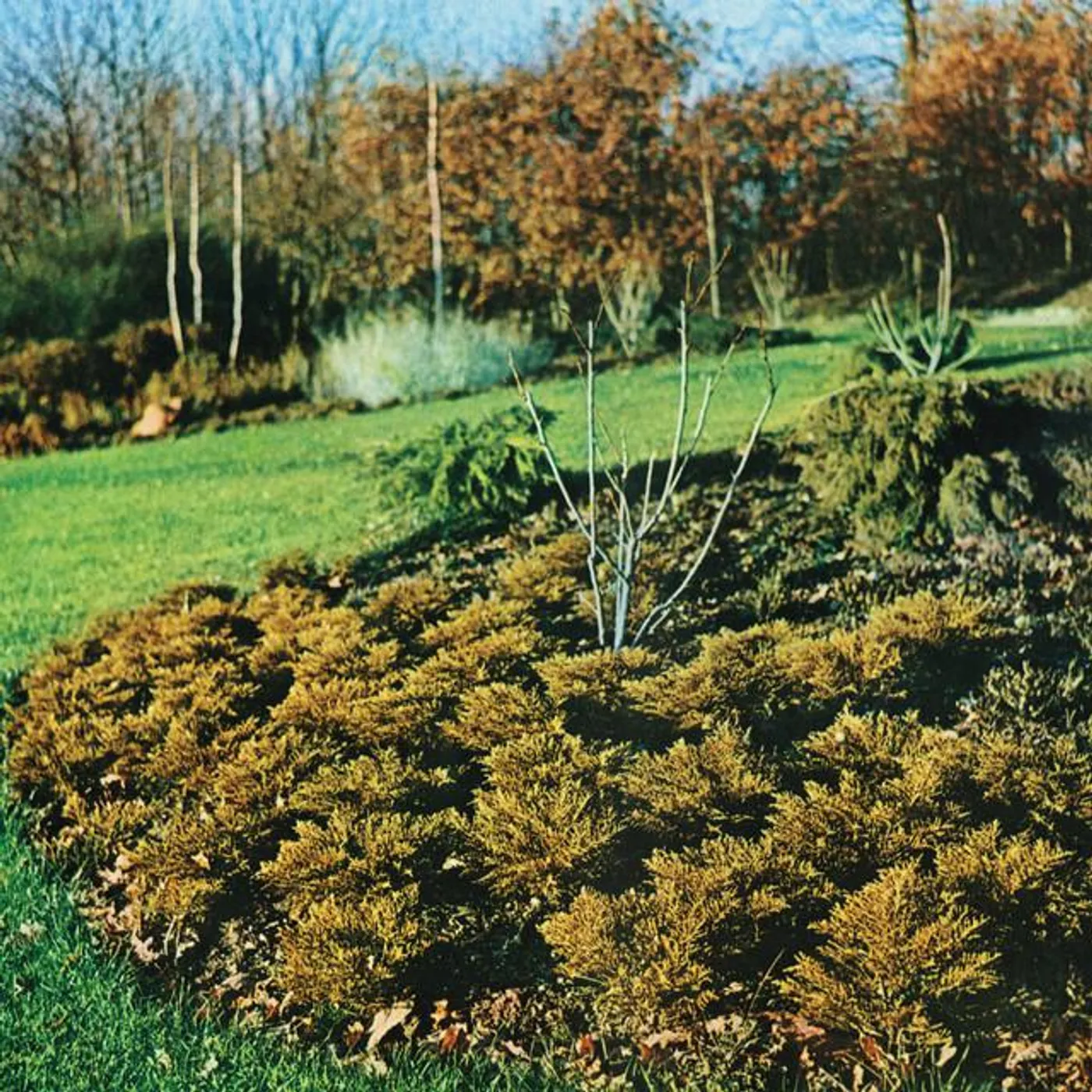 The Hipshakes Brand Page