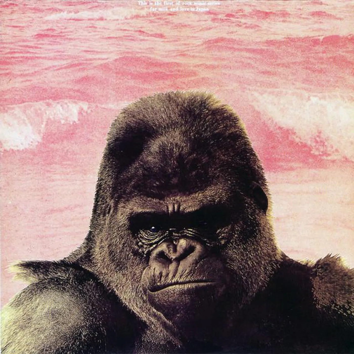 Hiro Yanagida Brand Page