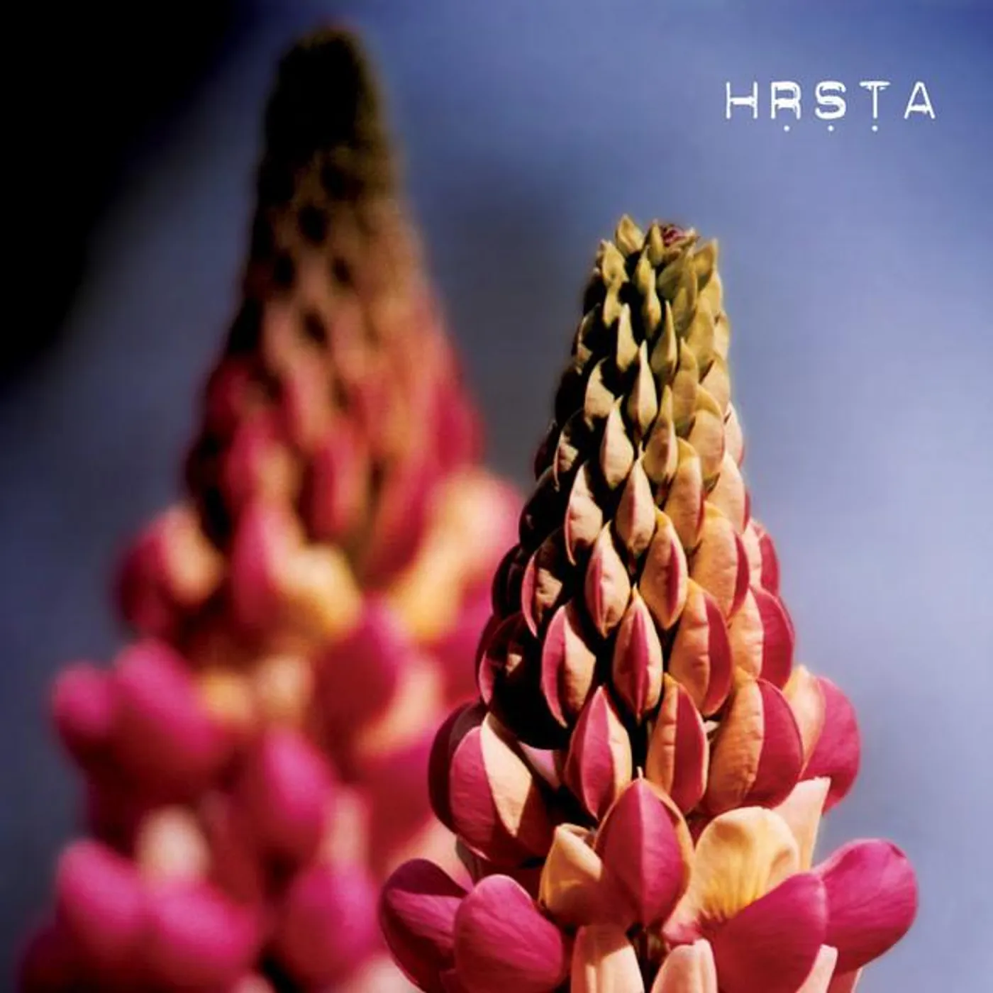 Hrsta Brand Page
