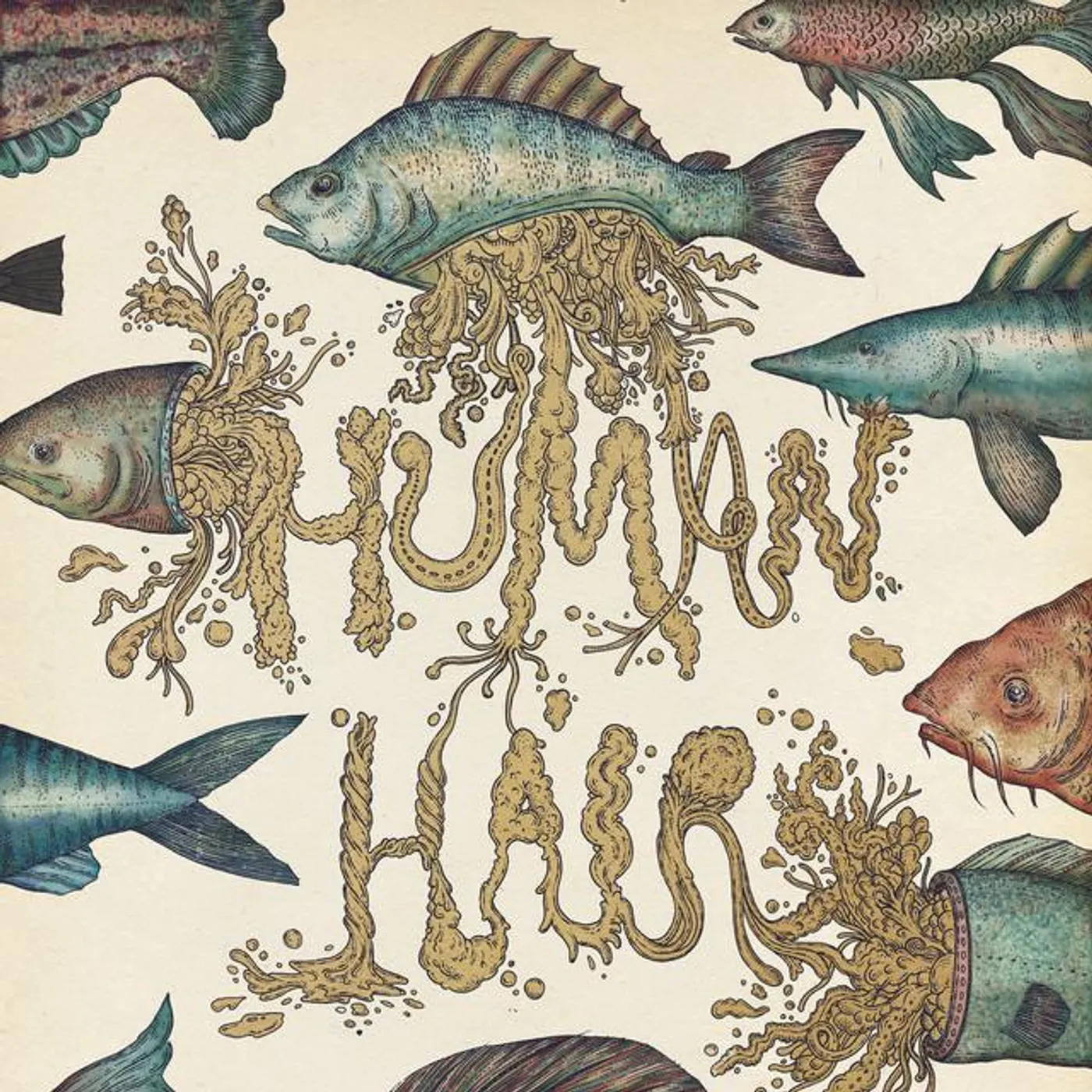 Human Hair