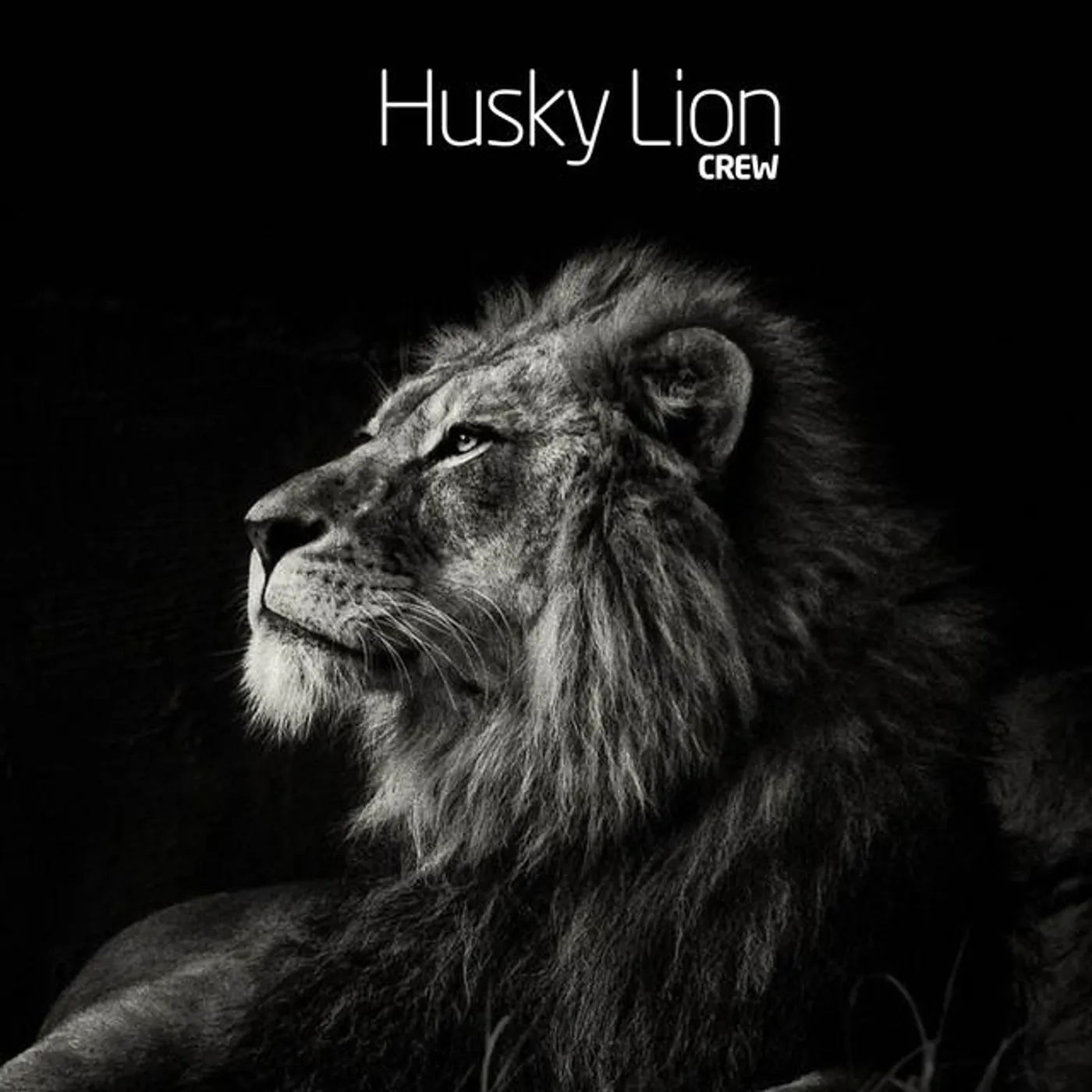 Husky Lion Brand Page