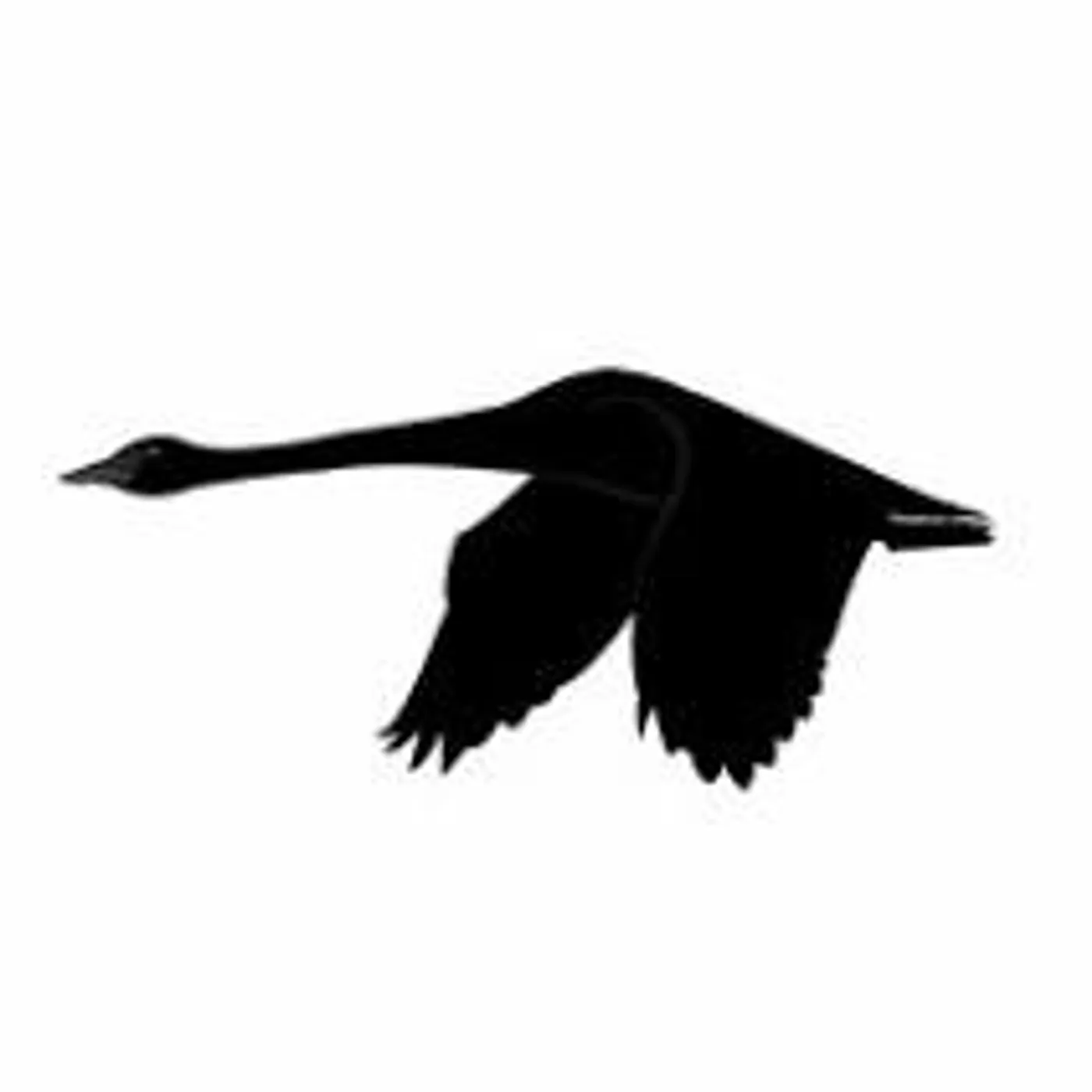 I.A. Bericochea Brand Page