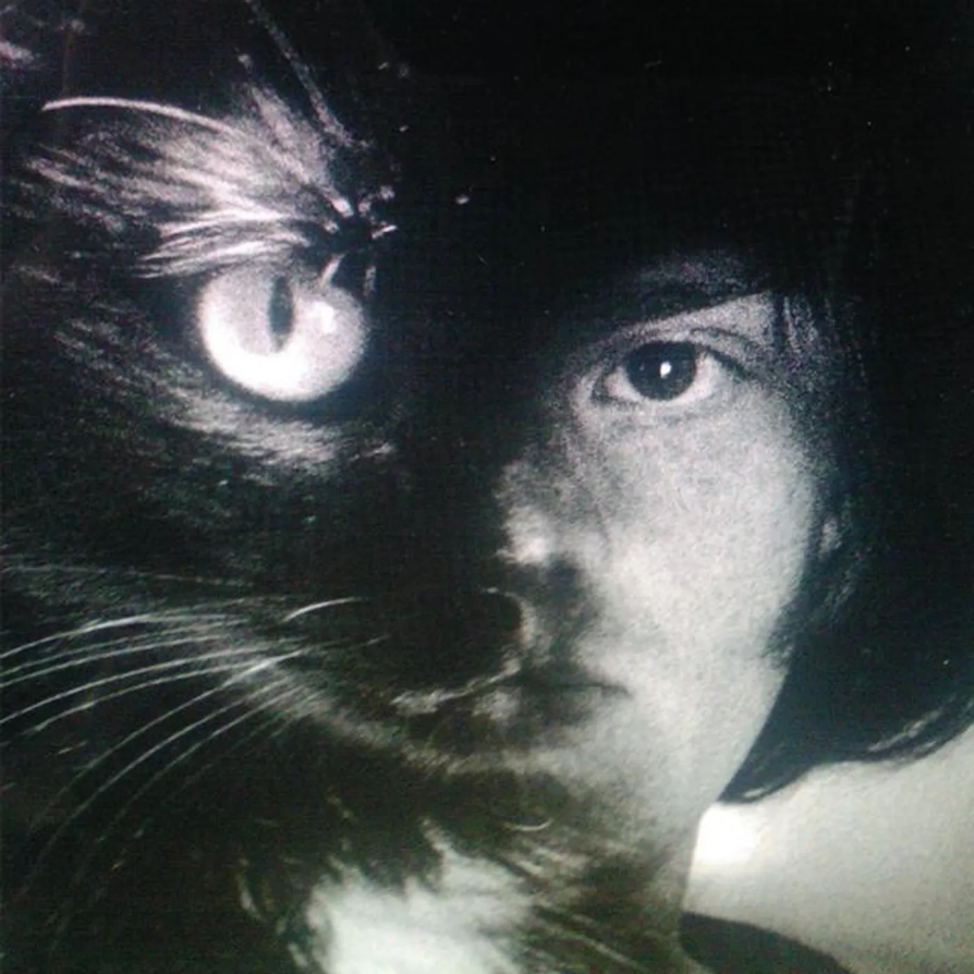 Imaginary Softwoods Brand Page