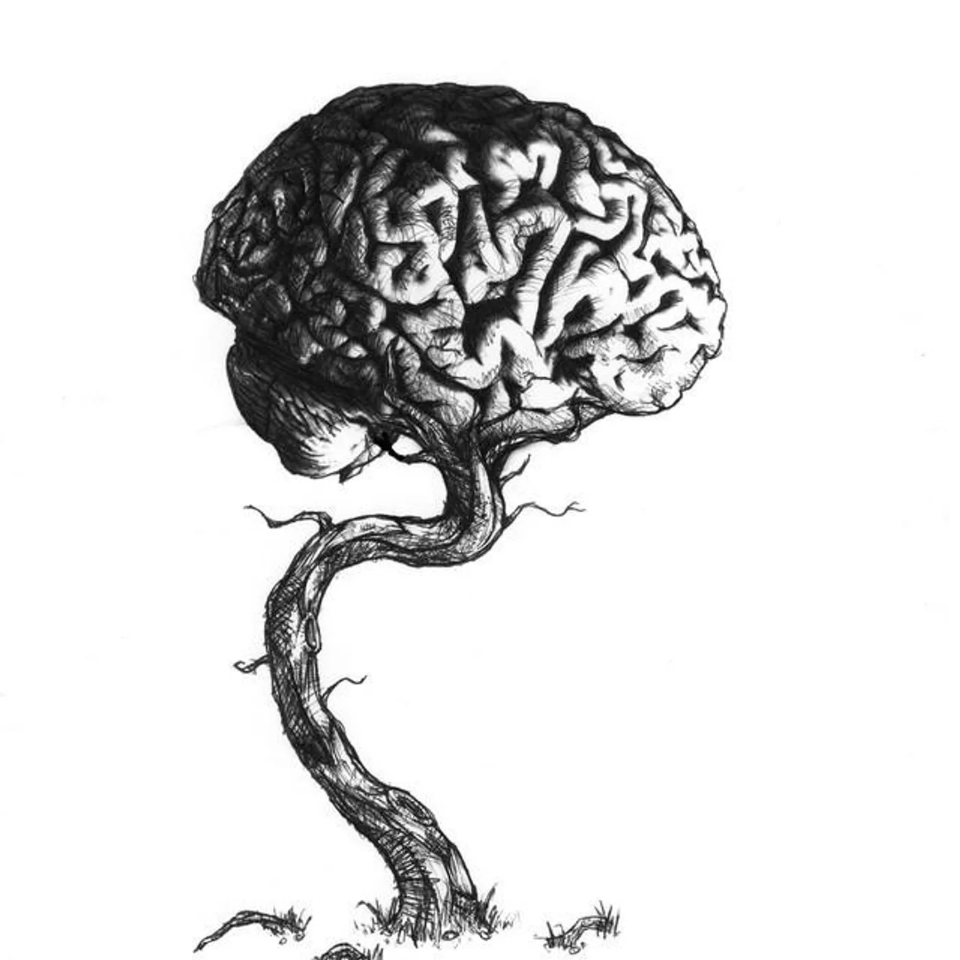 Imaginations Treetrunk Brand Page