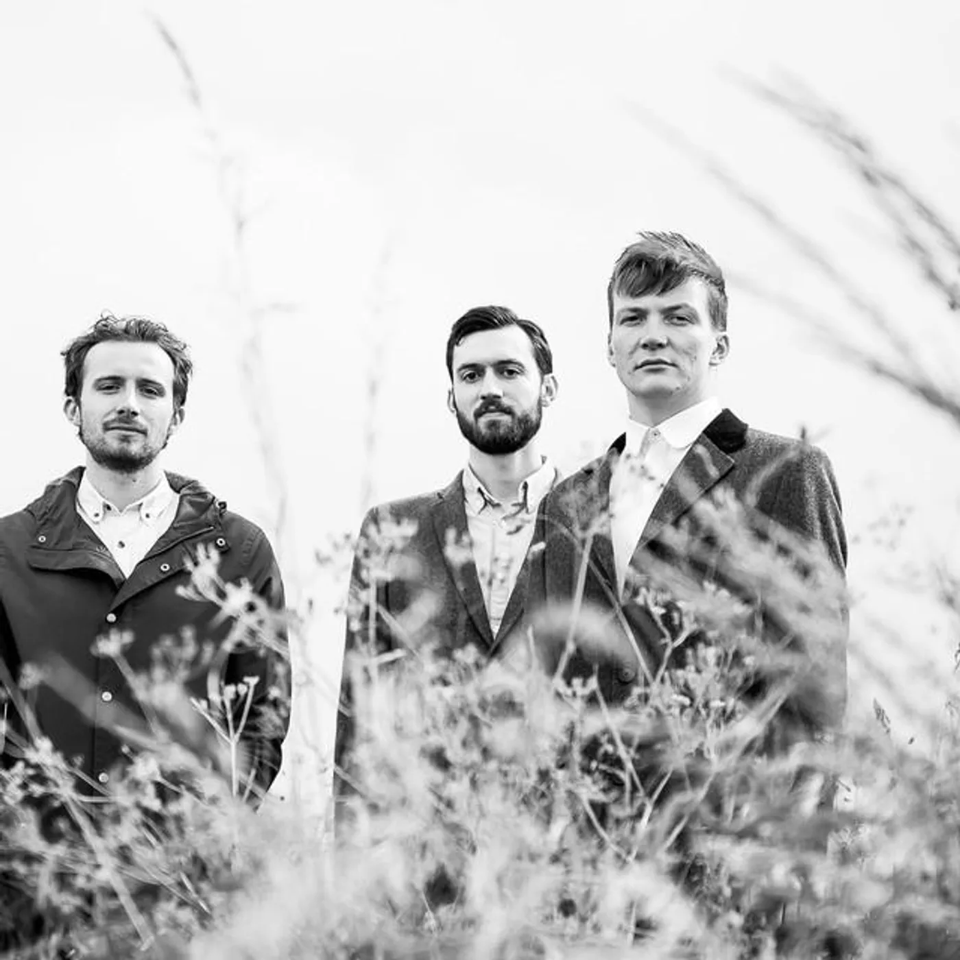 In Dynamics Brand Page