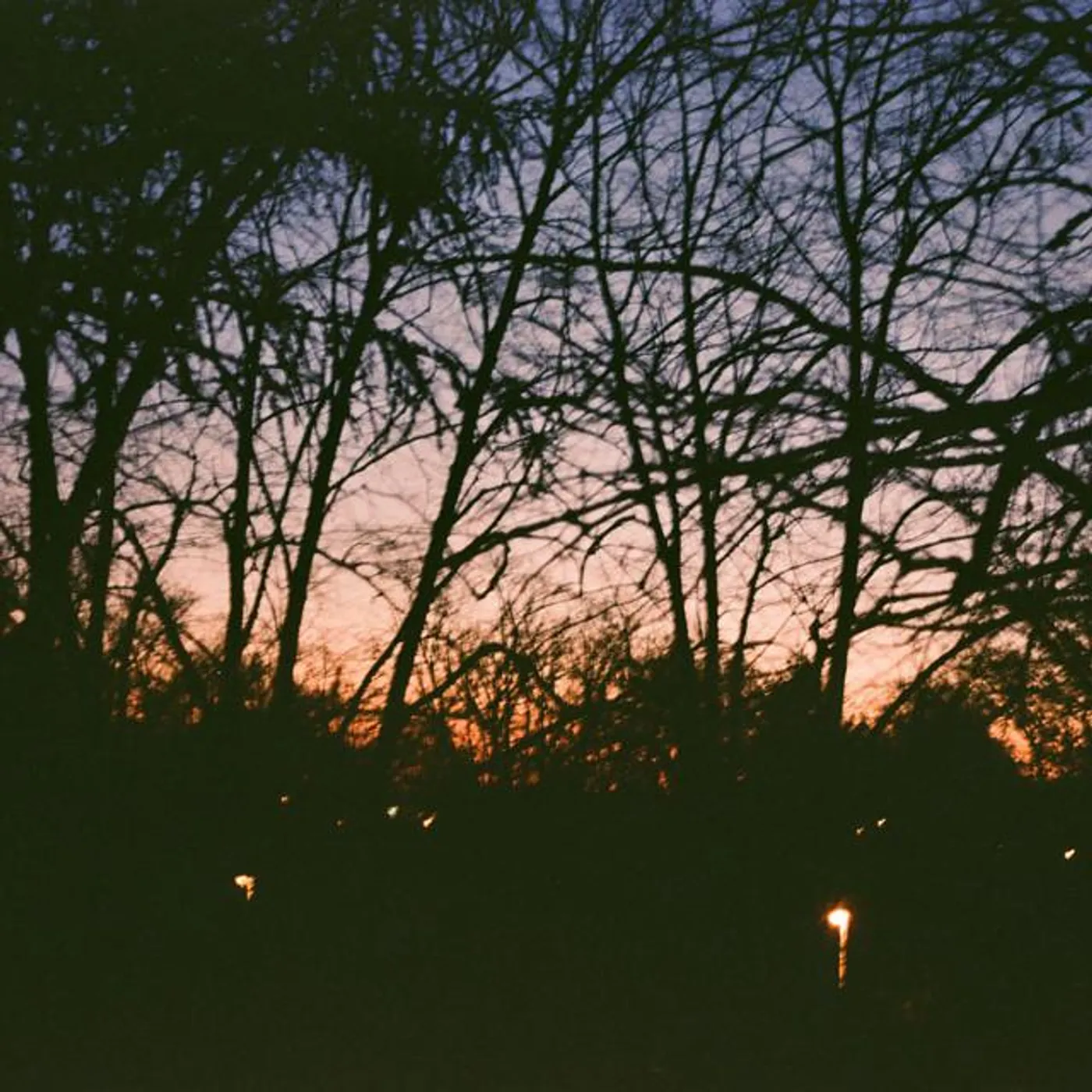 in memory of the view from hanoi opera house Brand Page