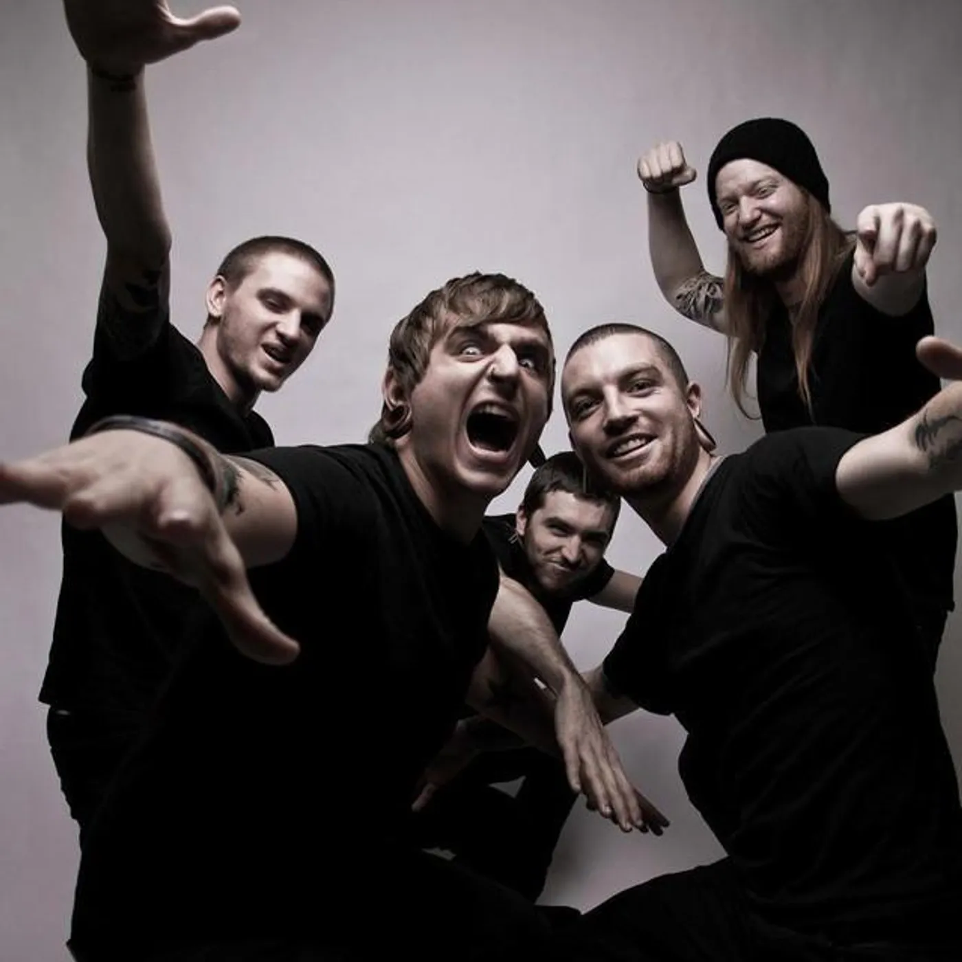 In The Midst Of Lions Brand Page