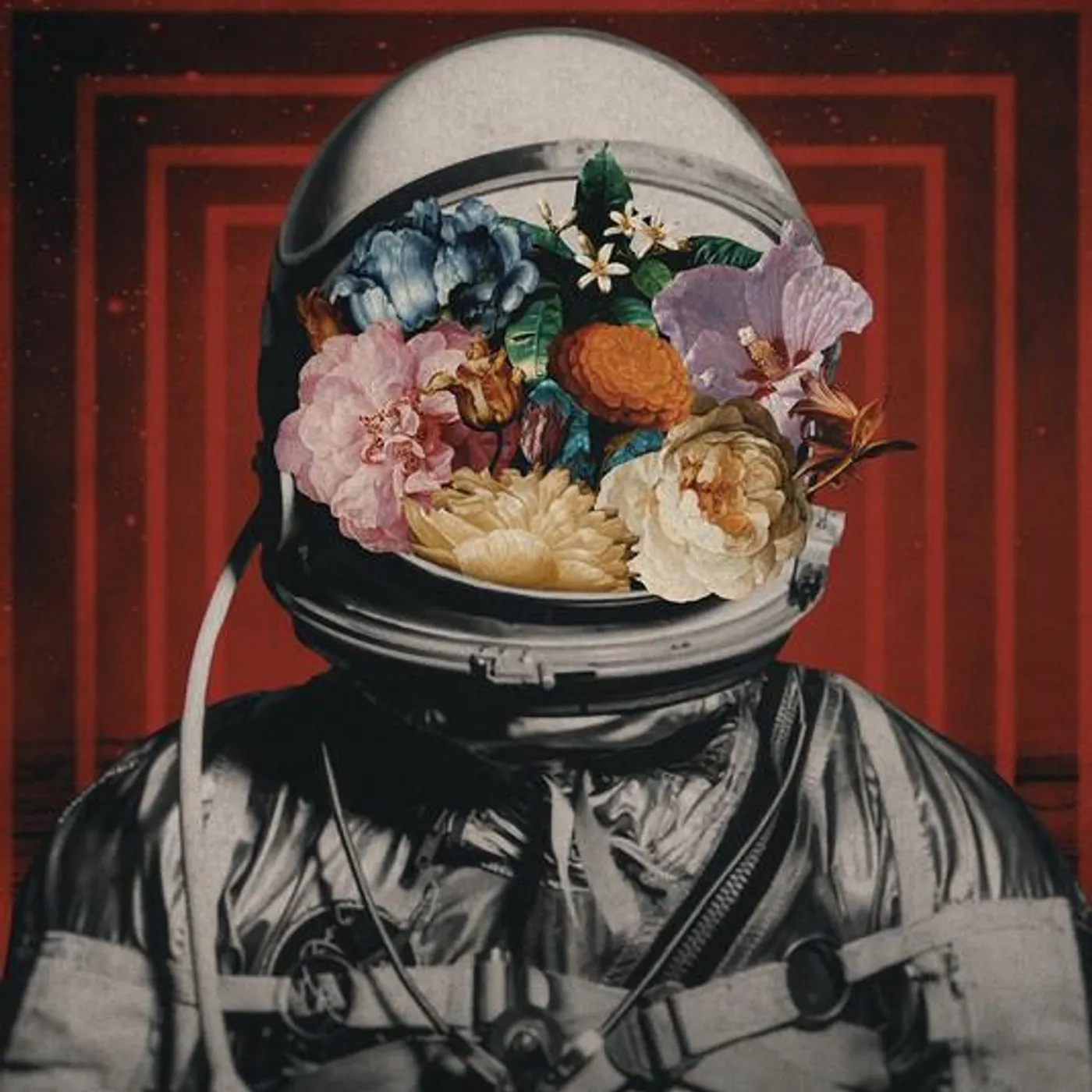 In The Blind Brand Page