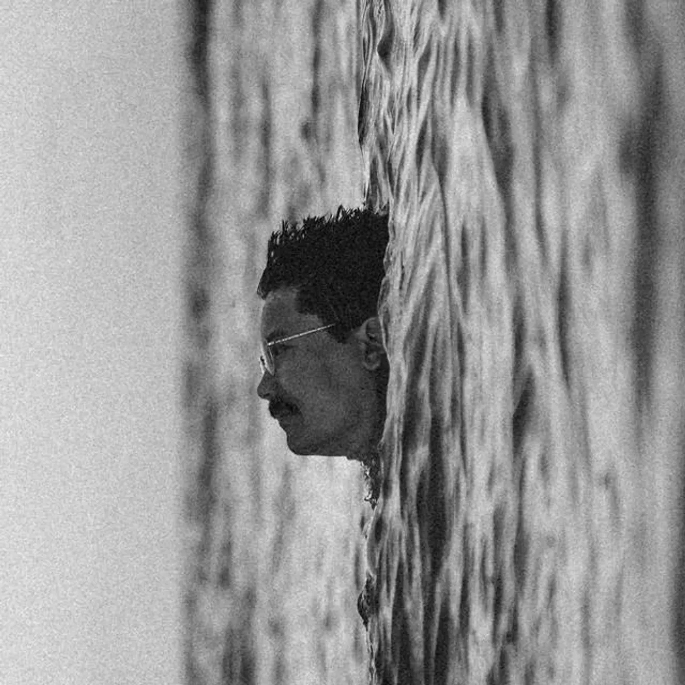 In the Wild Brand Page