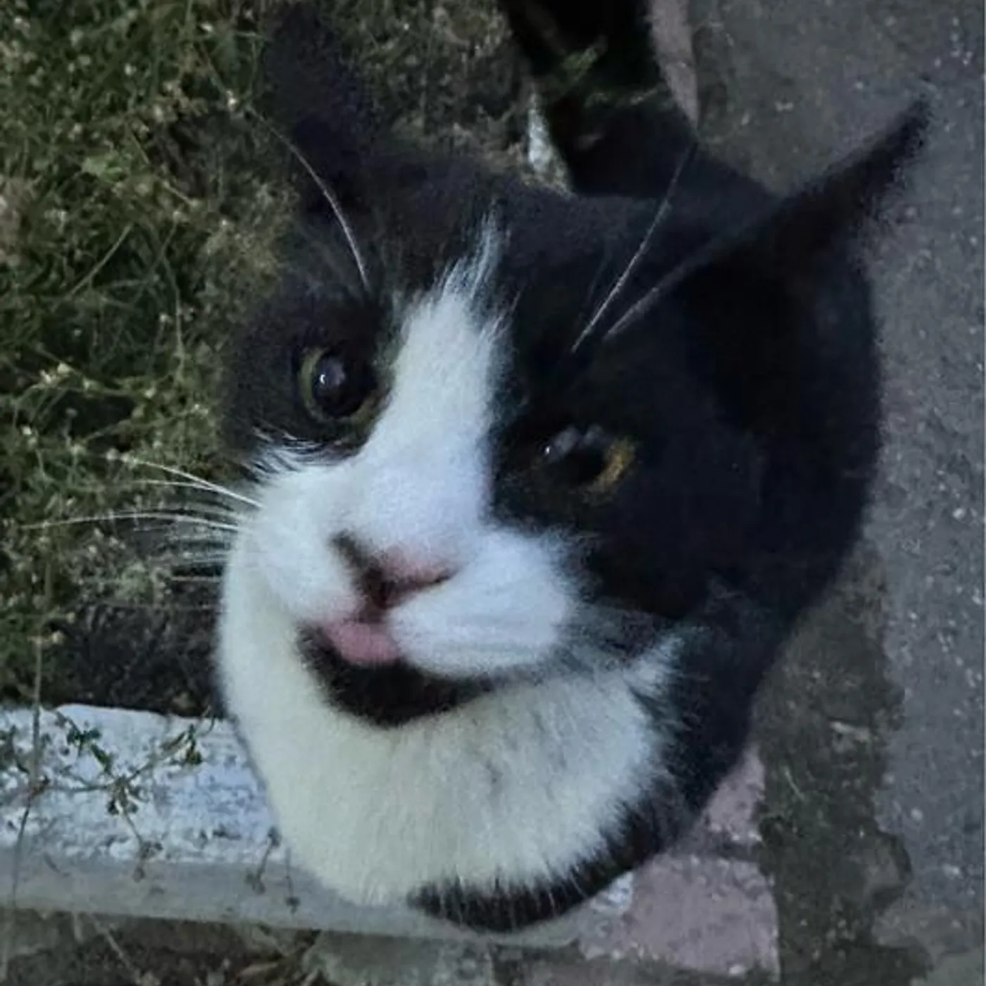 INTERWORLD Brand Page