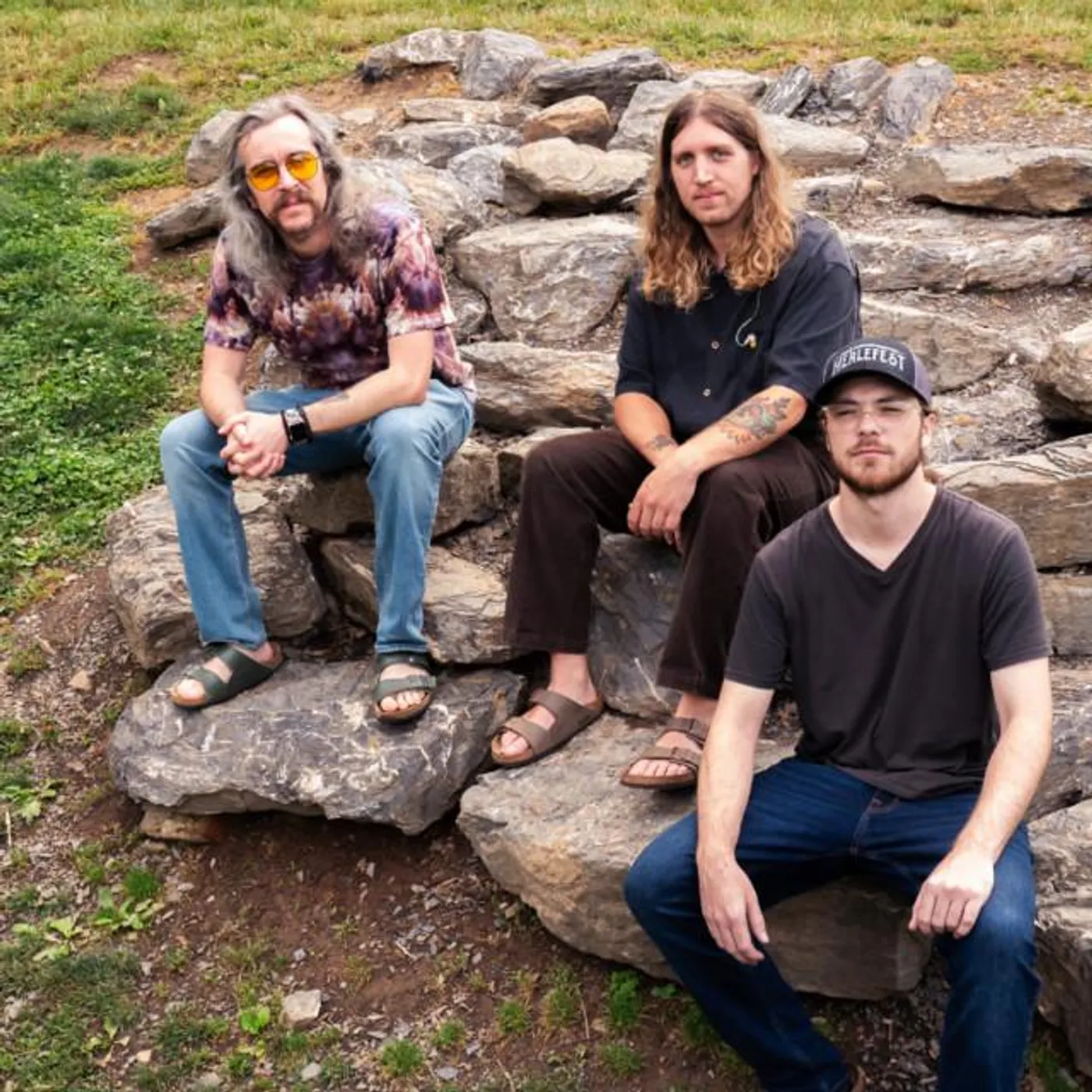 Into the Fog Brand Page