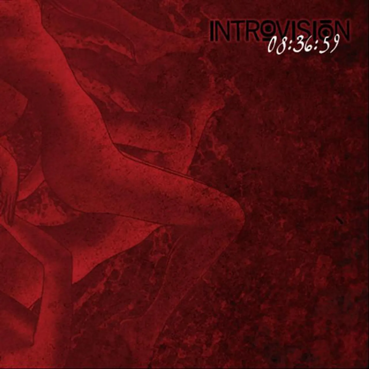 Introvisión Brand Page