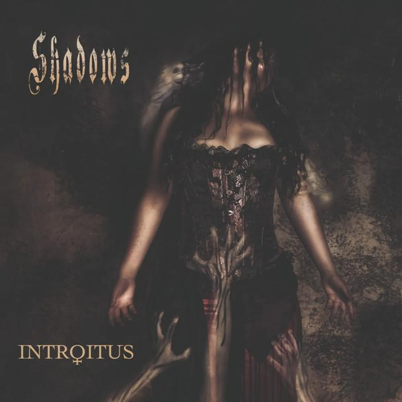 Introitus Brand Page