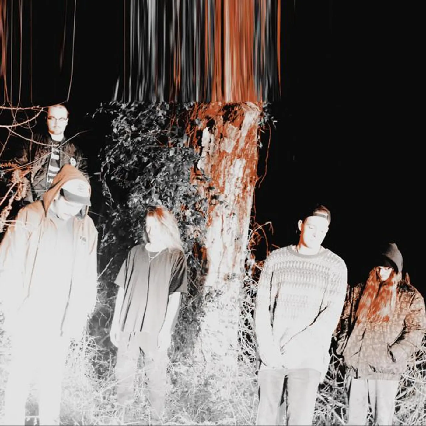 Infant Island Brand Page