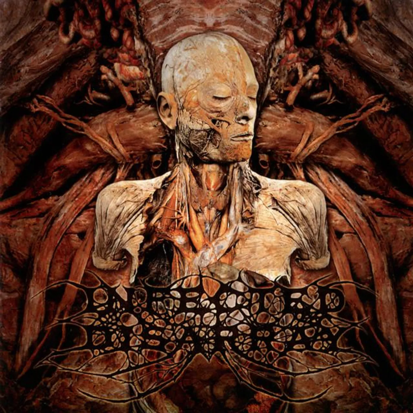 Infected Disarray Brand Page