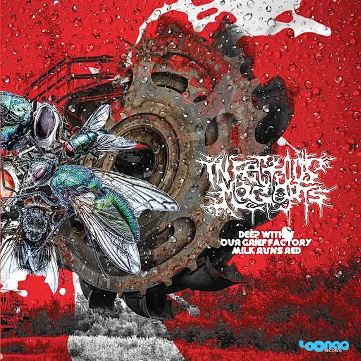 Infectious Maggots Brand Page