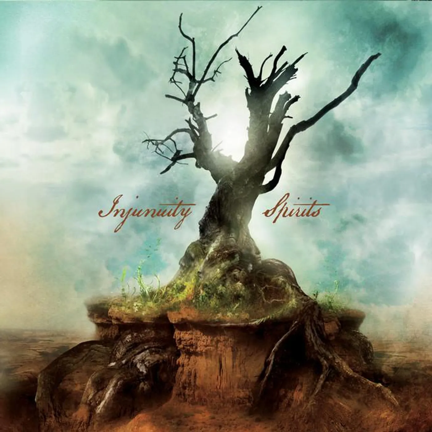 Injunuity Brand Page