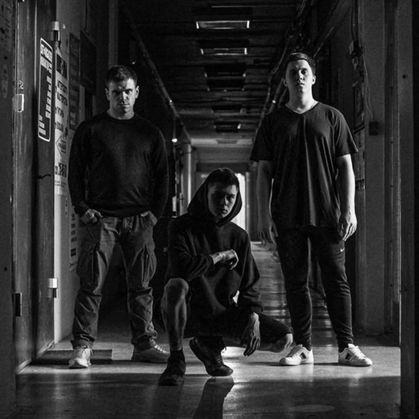 Insect Inside Brand Page