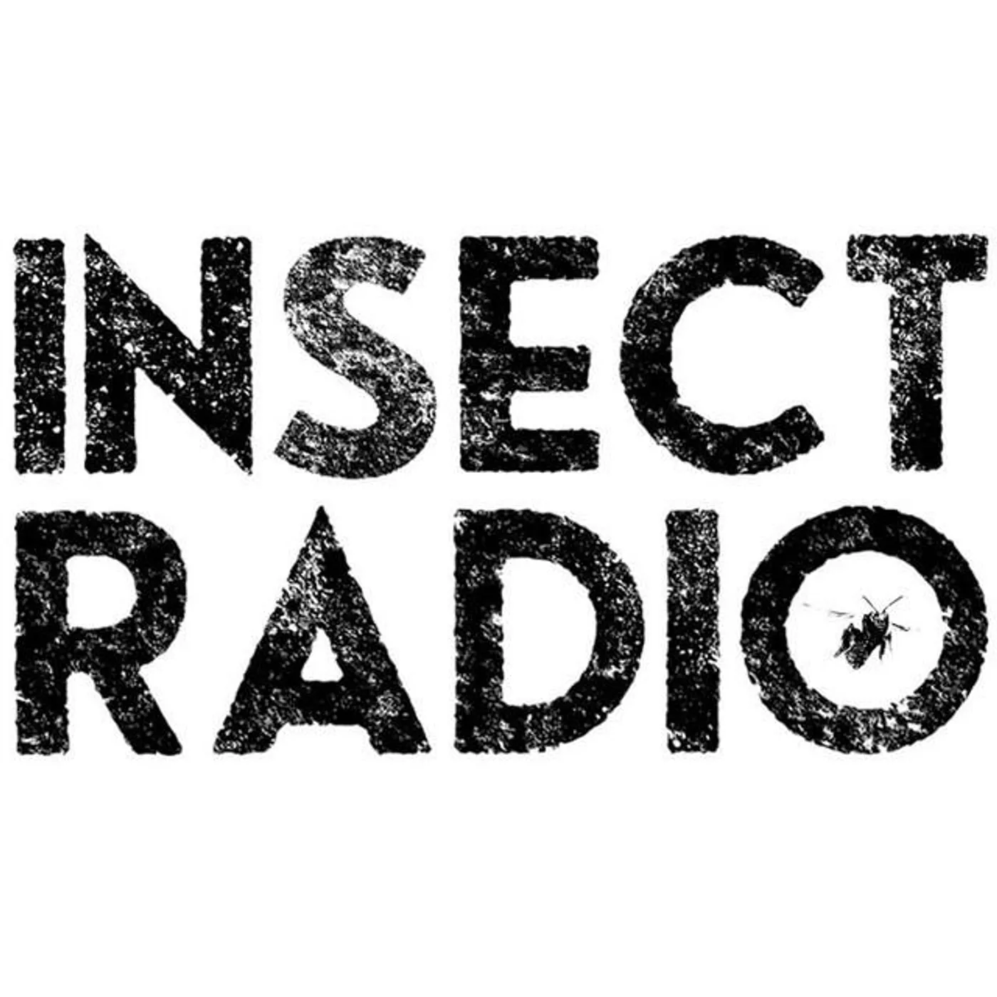 Insect Radio