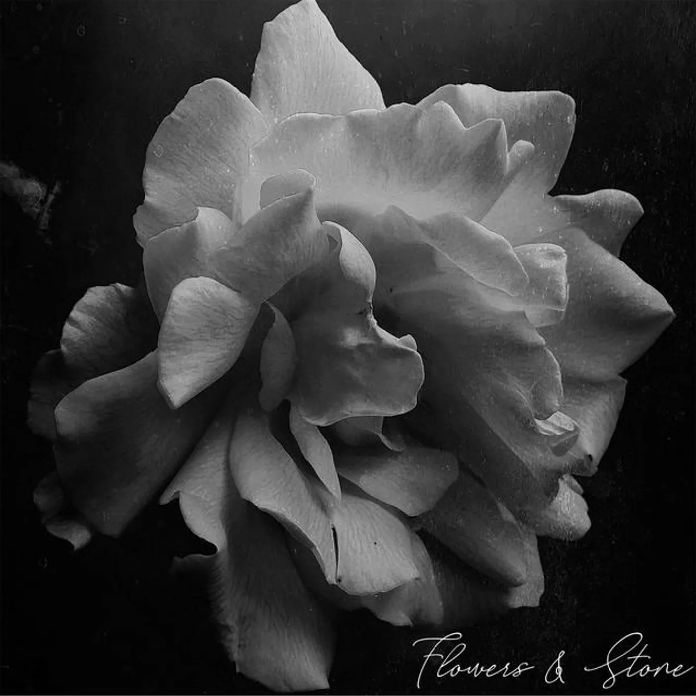 Instruments of Torture