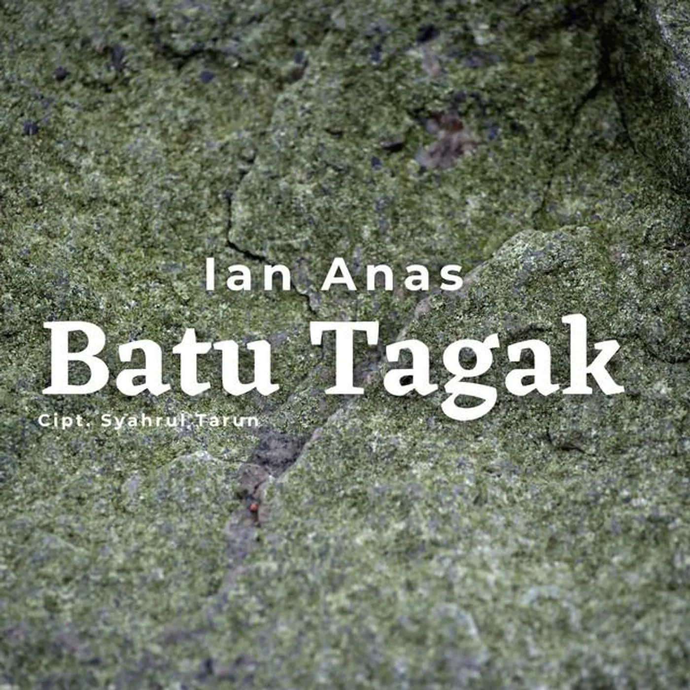 Ian Anas