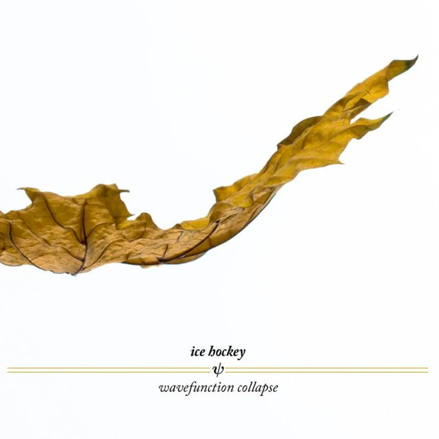 Ice Hockey Brand Page