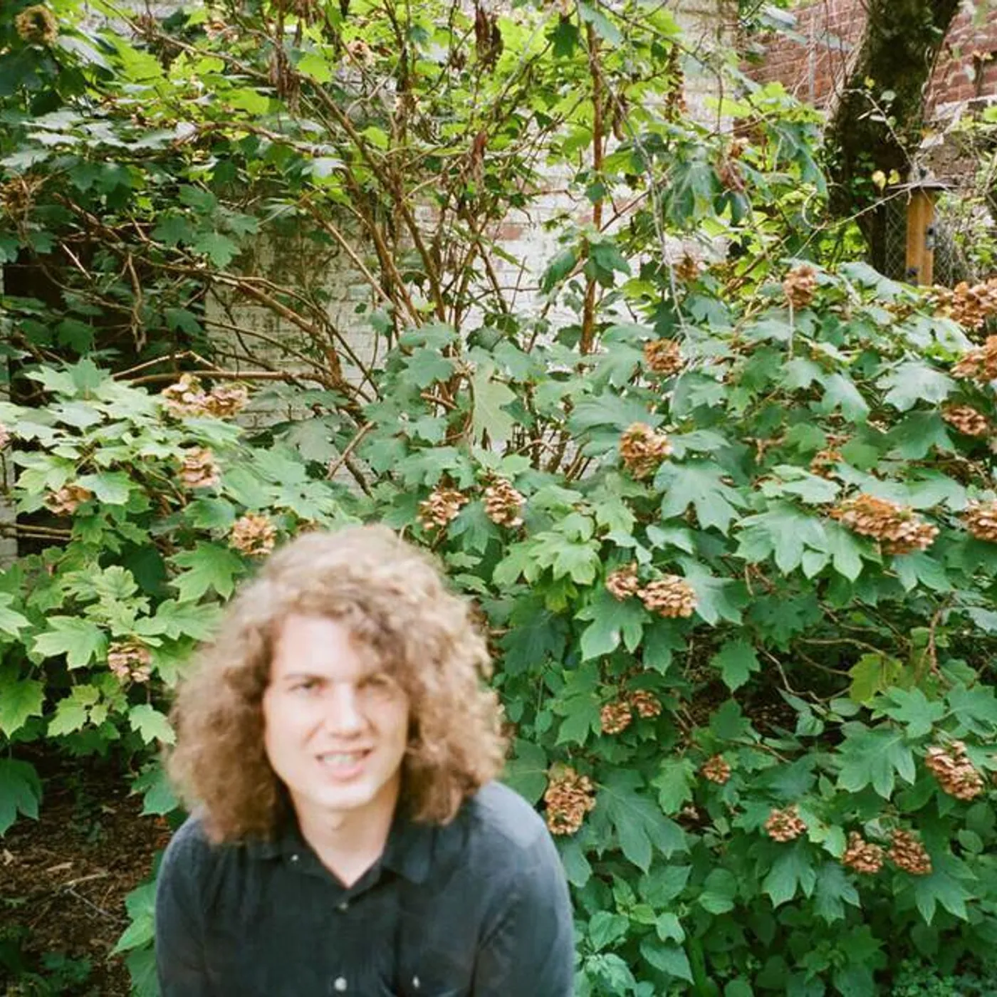 Idiot Glee Brand Page