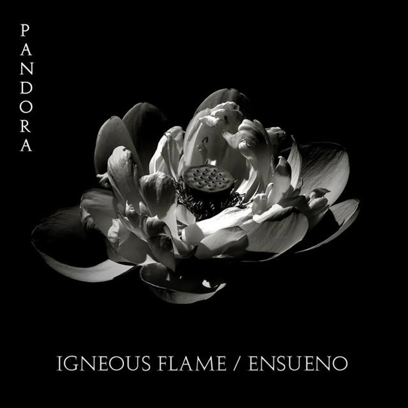 Igneous Flame & Ensueno Brand Page