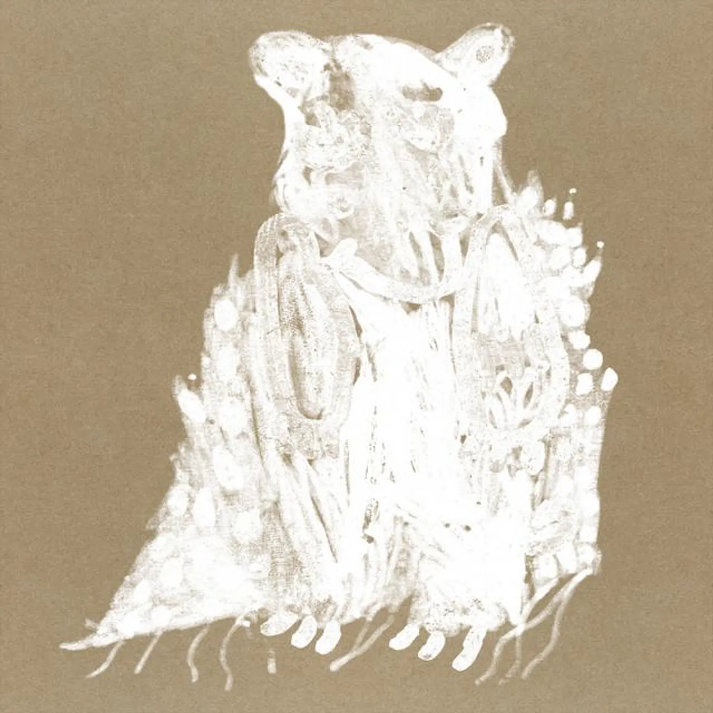 Ihor Tsymbrovsky Brand Page