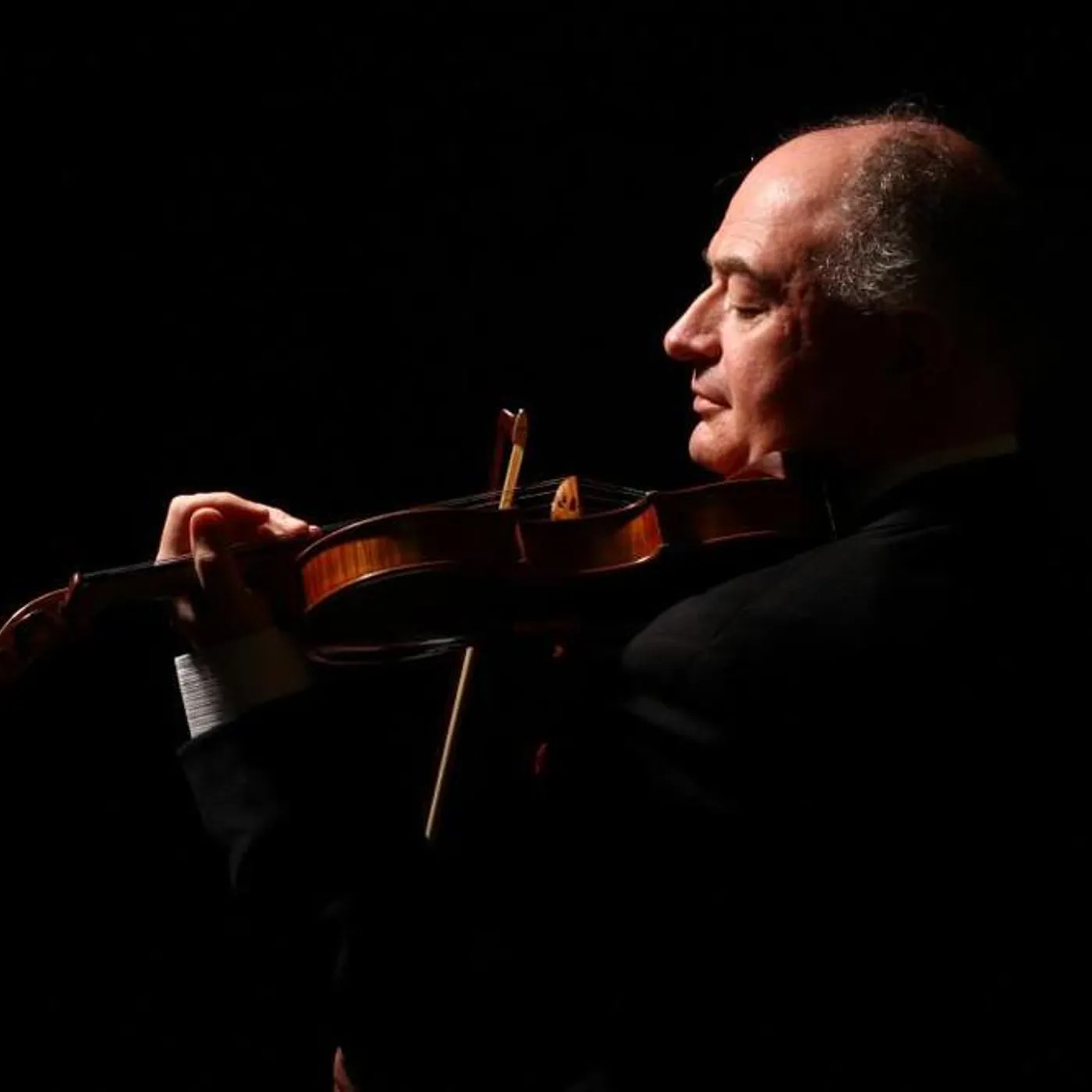 Ilya Kaler Brand Page