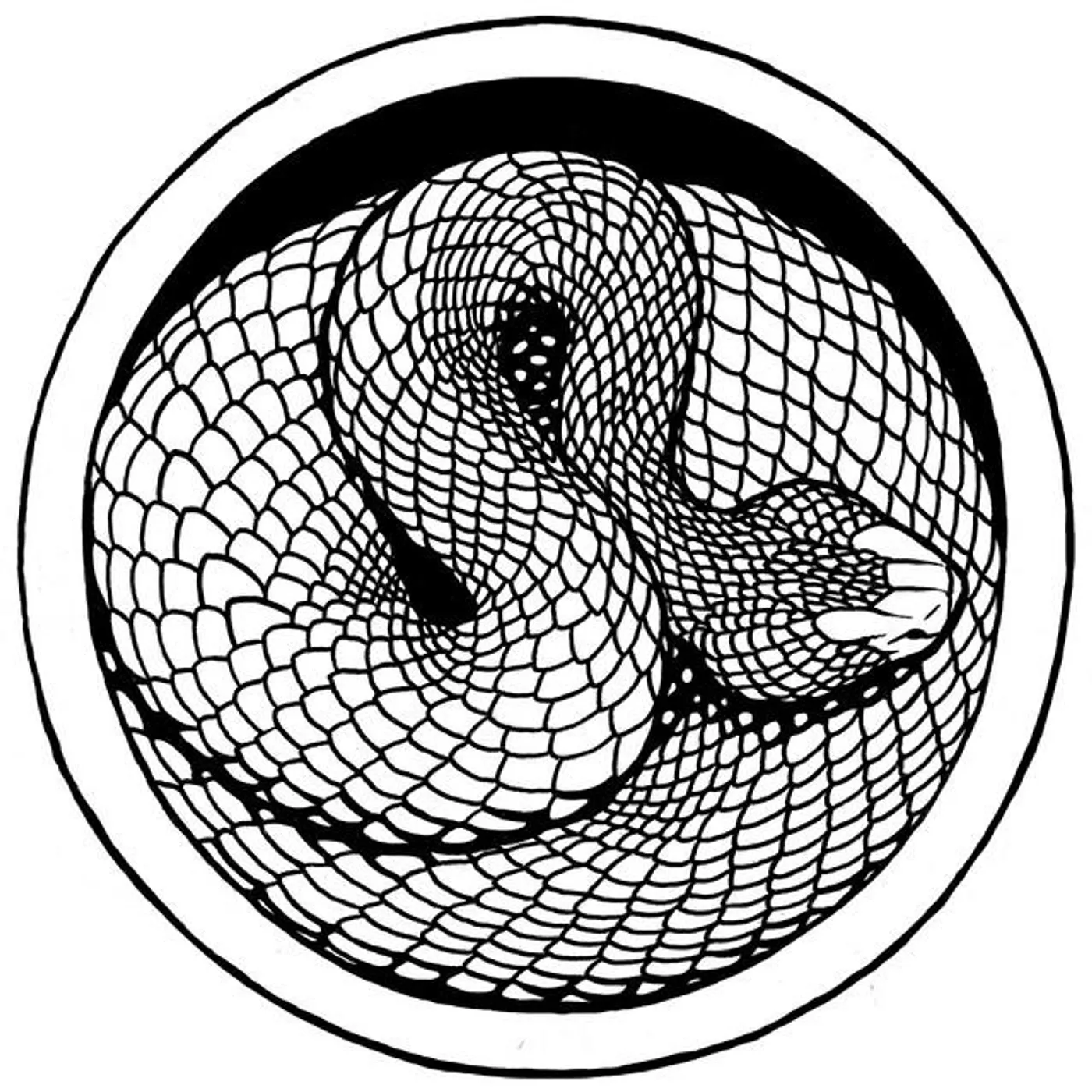 Iron Mind Brand Page