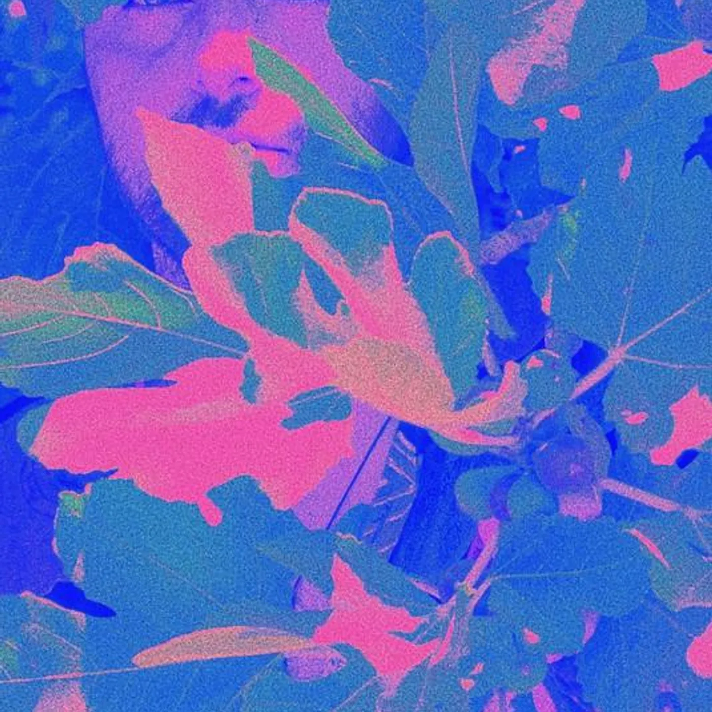 islandman Brand Page