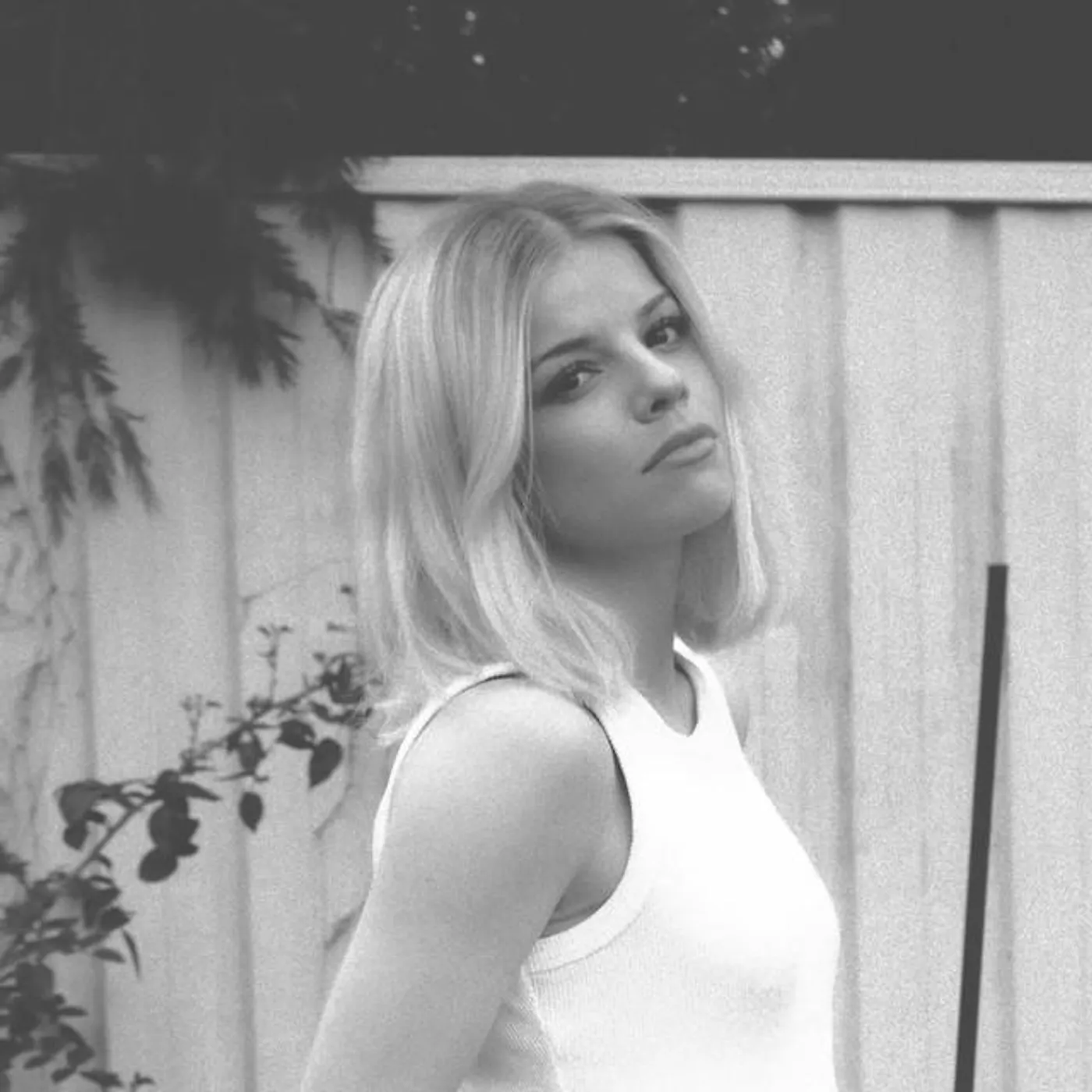 Ivy Adara Brand Page