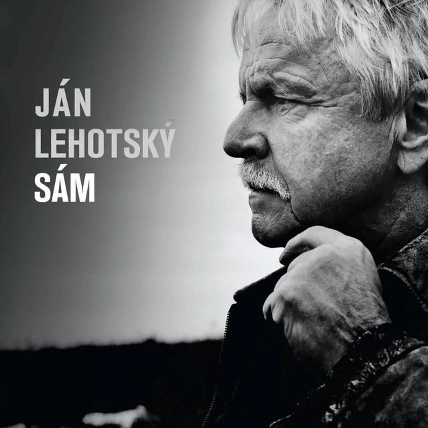 Ján Lehotský Brand Page