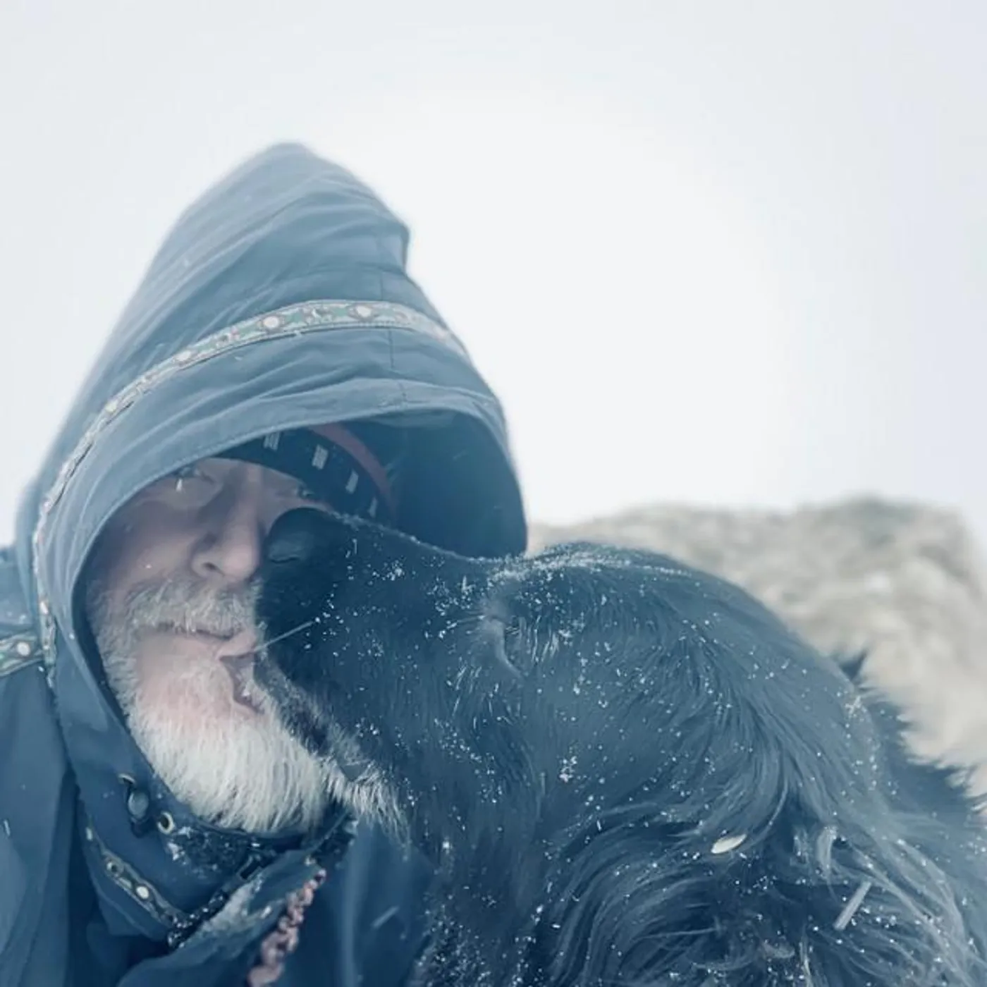 J Shogren Shanghai'd