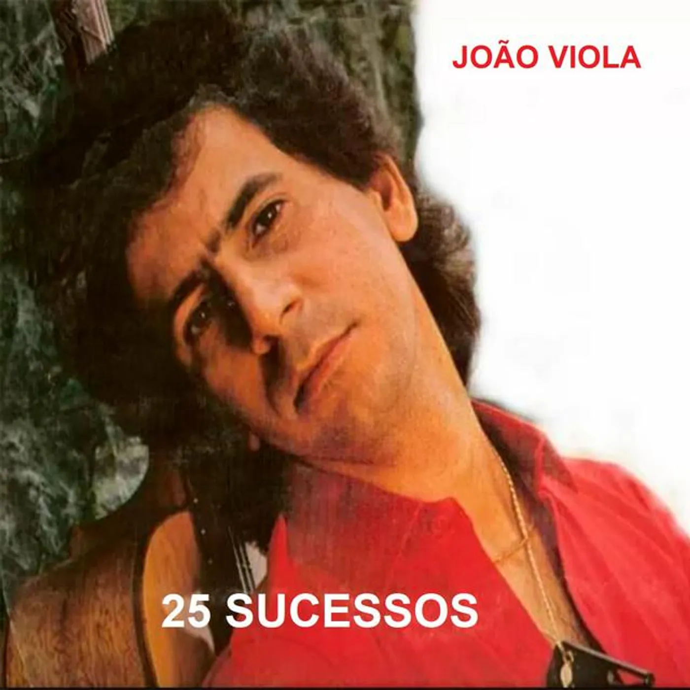 João Viola Brand Page