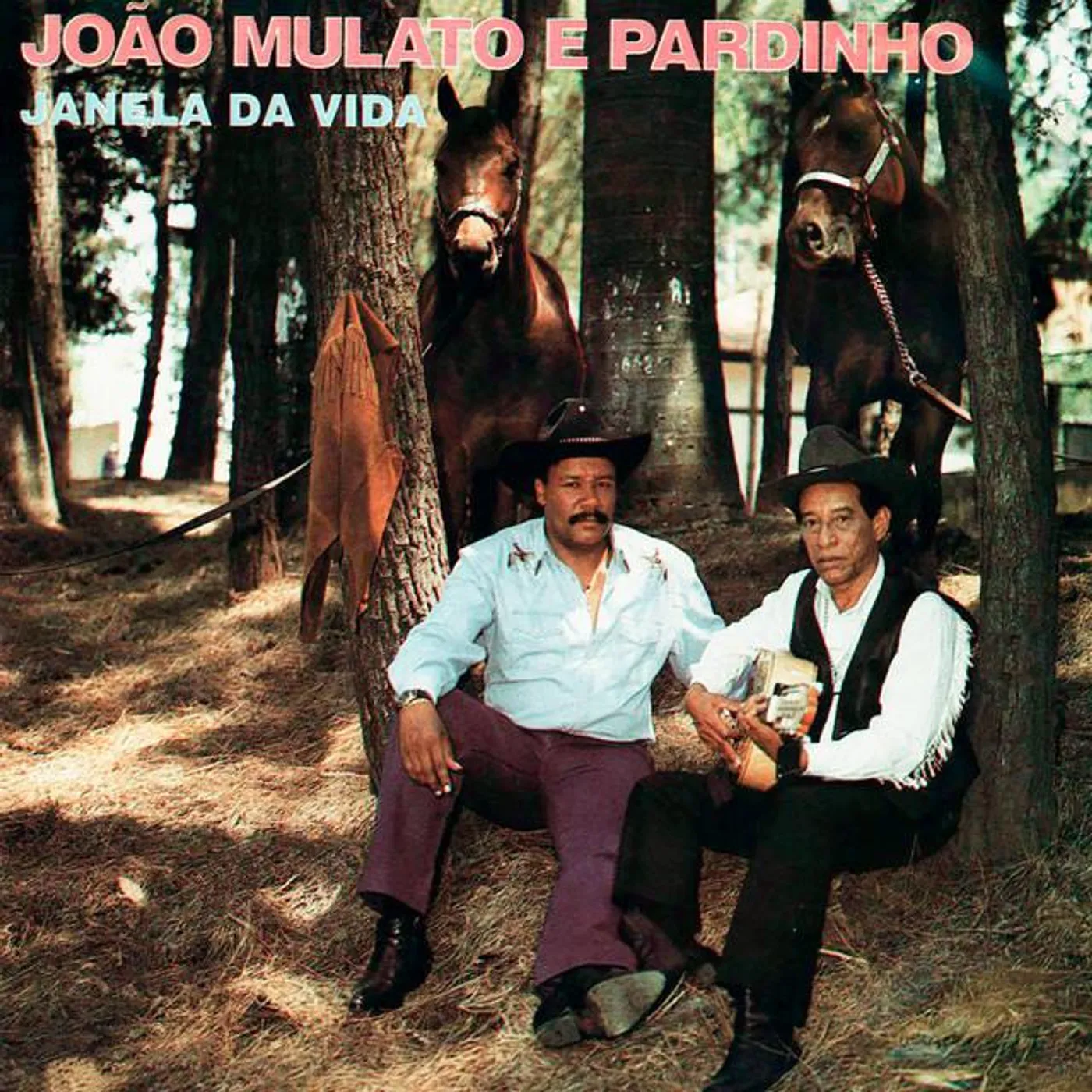 João Mulato E Pardinho