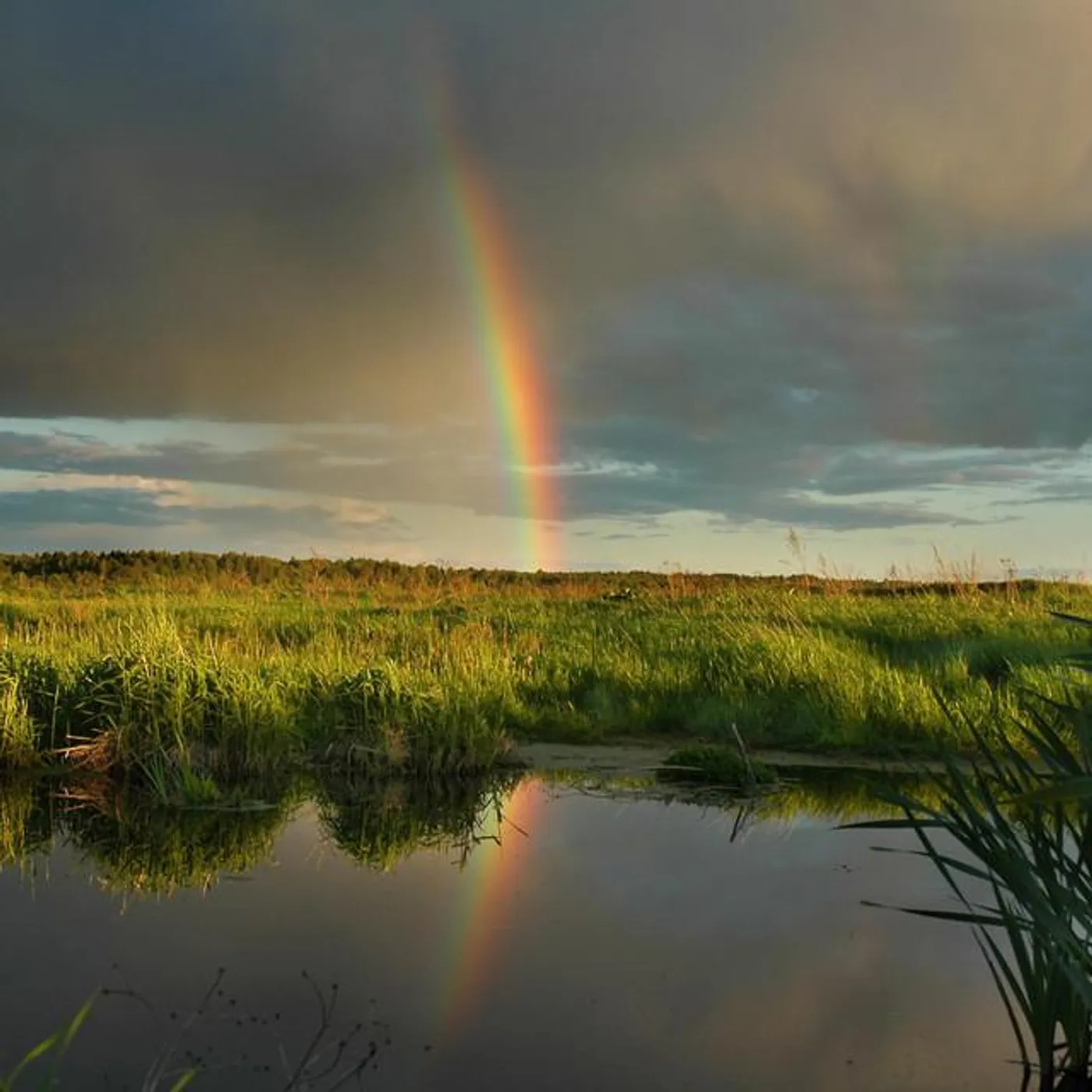 Journey in the Dream