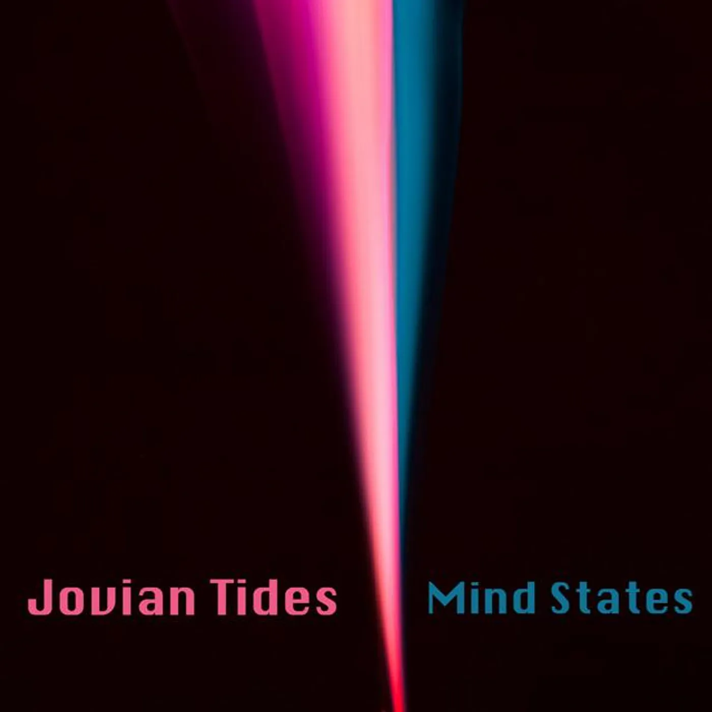 Jovian Tides