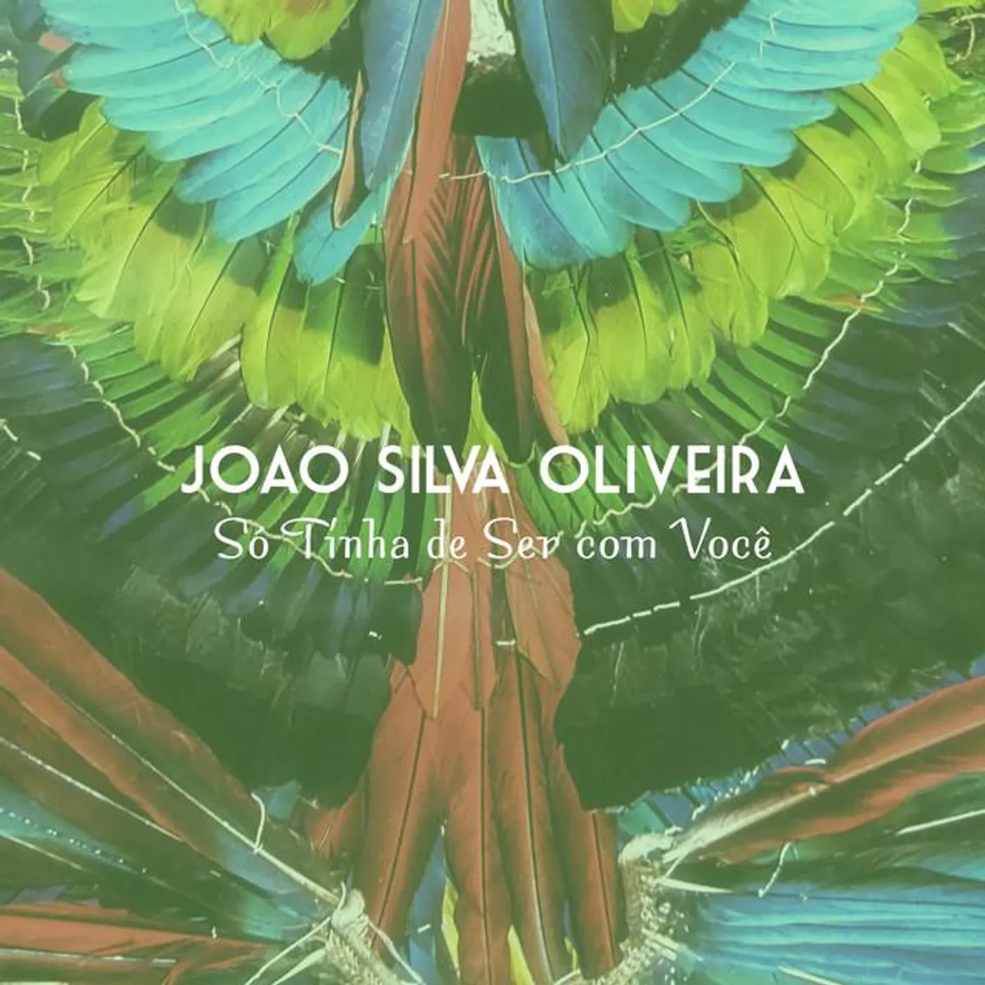 Joao Silva Oliveira Brand Page