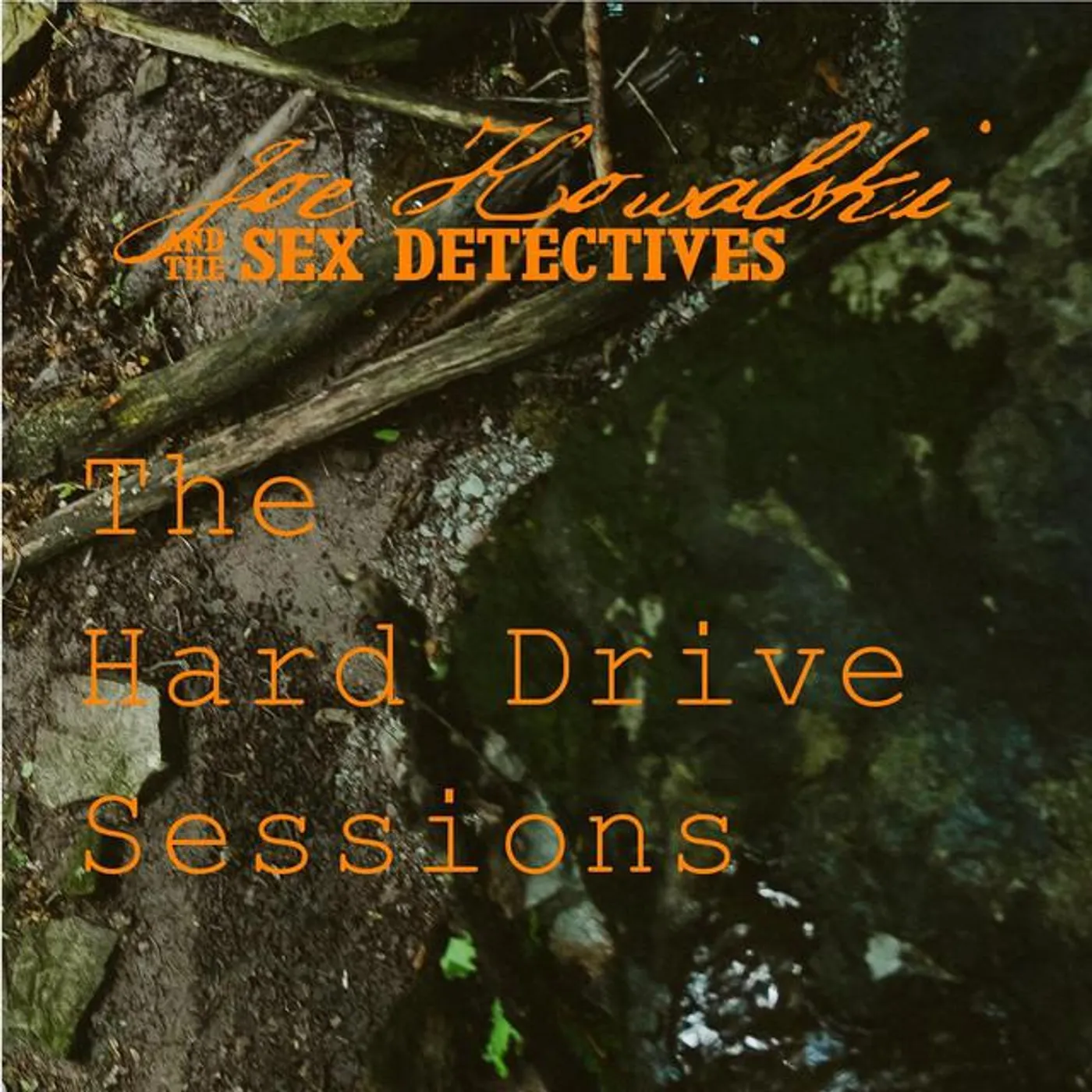 Joe Kowalski & The Sex Detectives