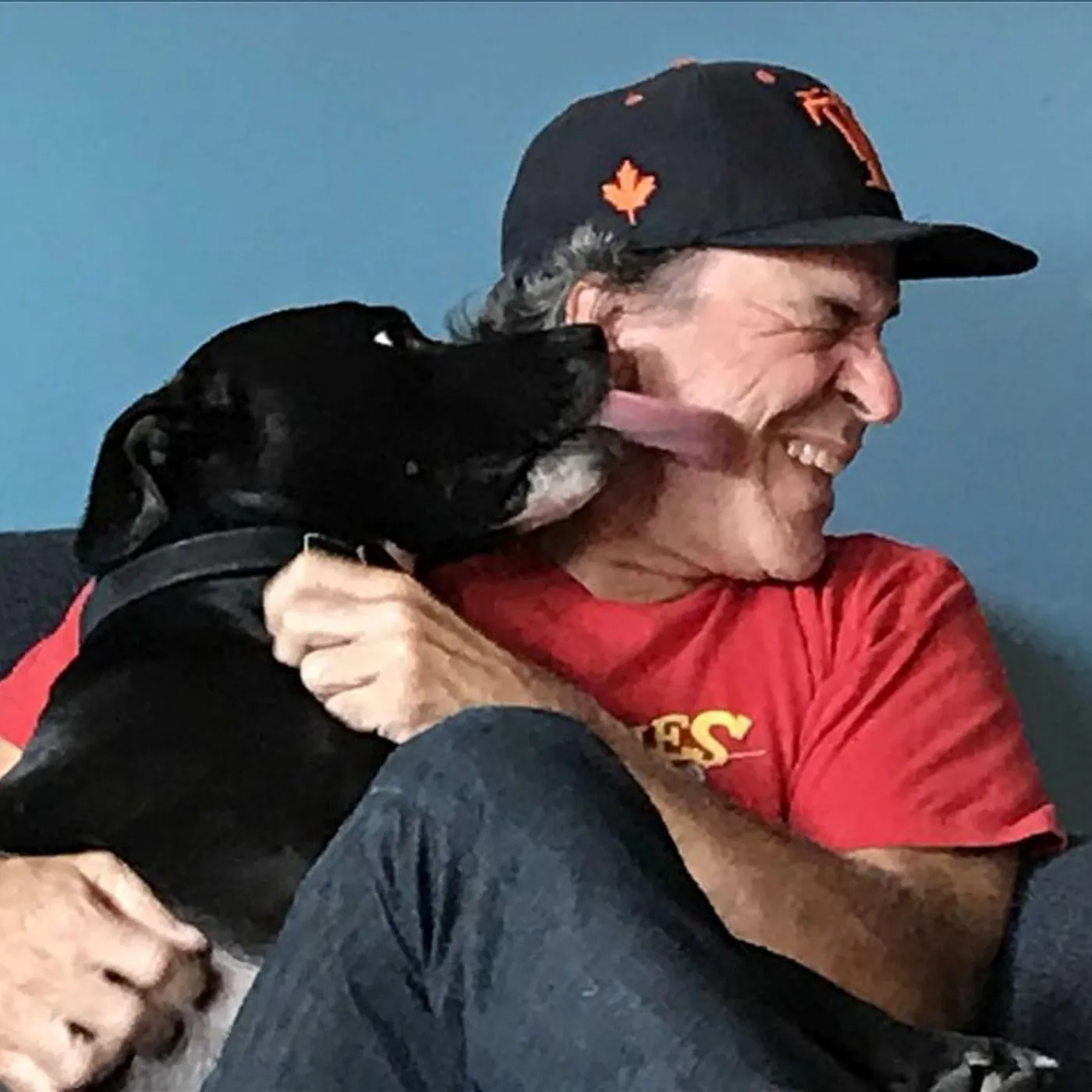 Joe Pernice Brand Page