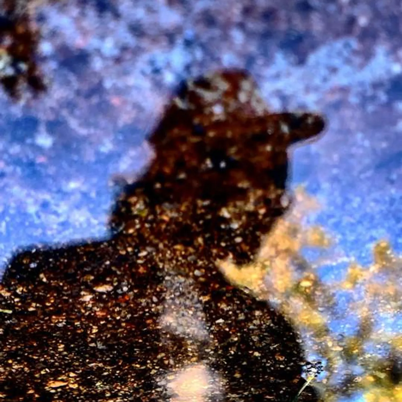 Joe's Truck Stop Brand Page