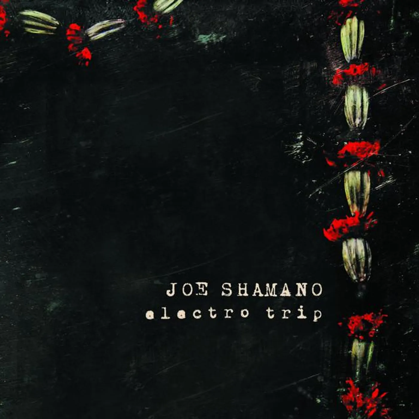 Joe Shamano