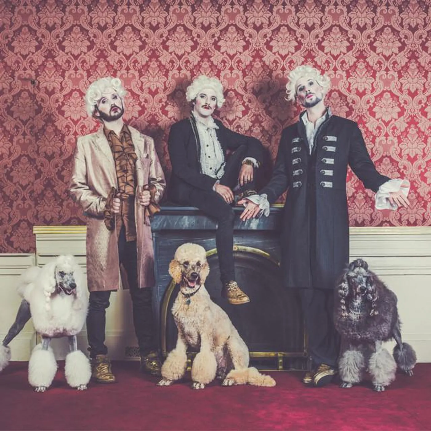 Johann Sebastian Bass Brand Page