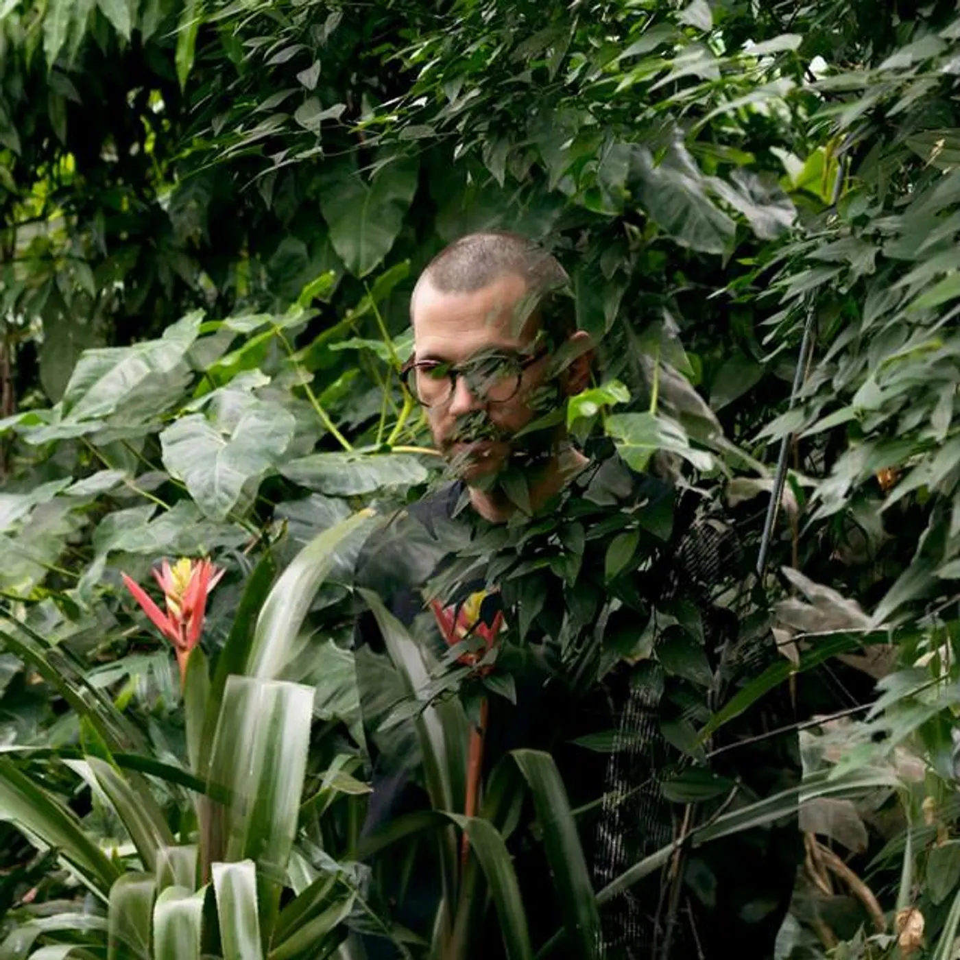 Johannes Brecht Brand Page