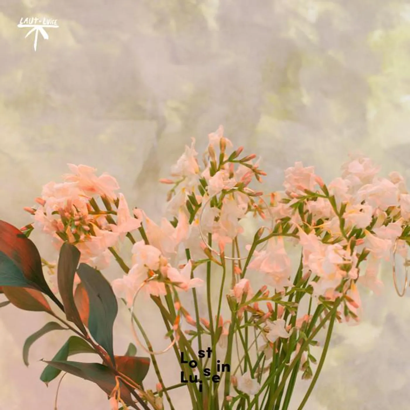 Johannes Ton Brand Page