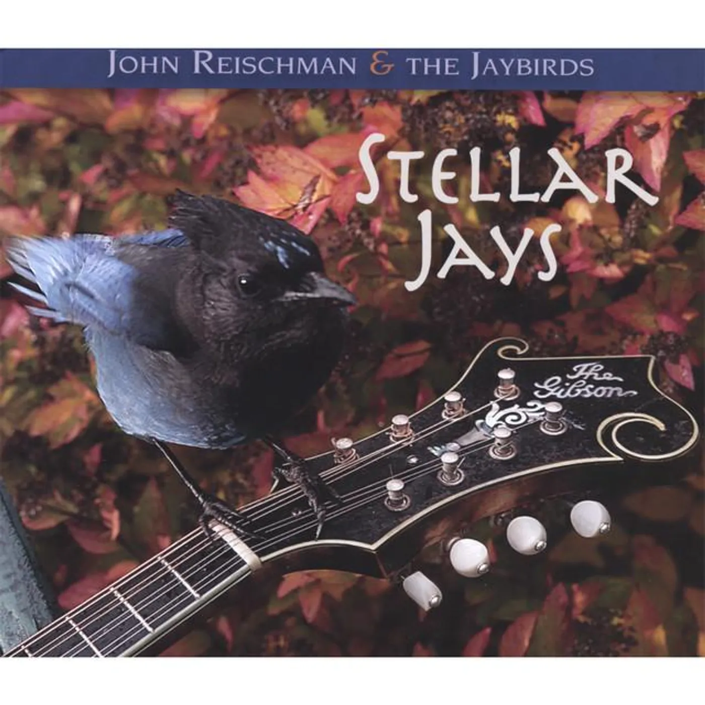 John Reischman & The Jaybirds Brand Page