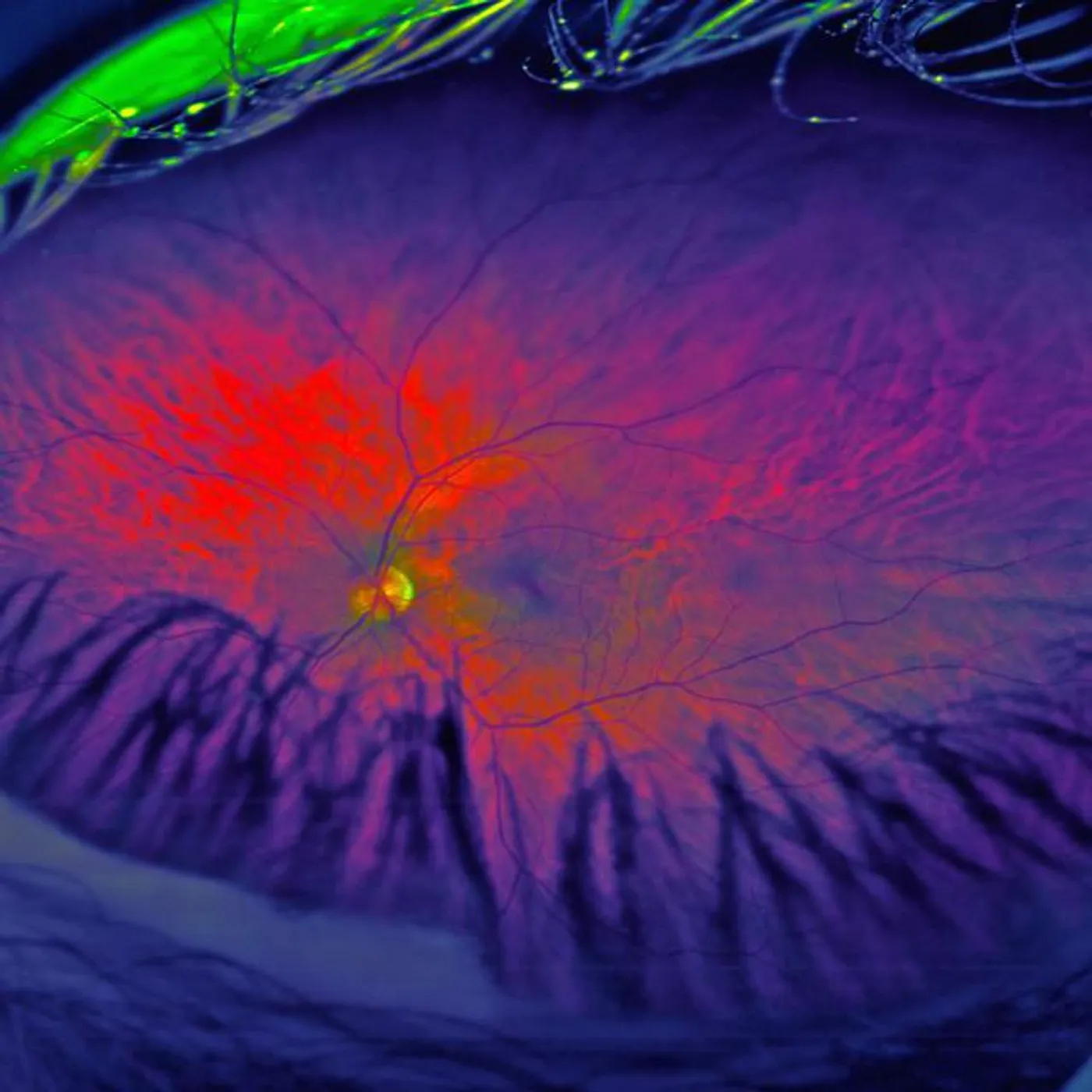 Johnny Dango Brand Page